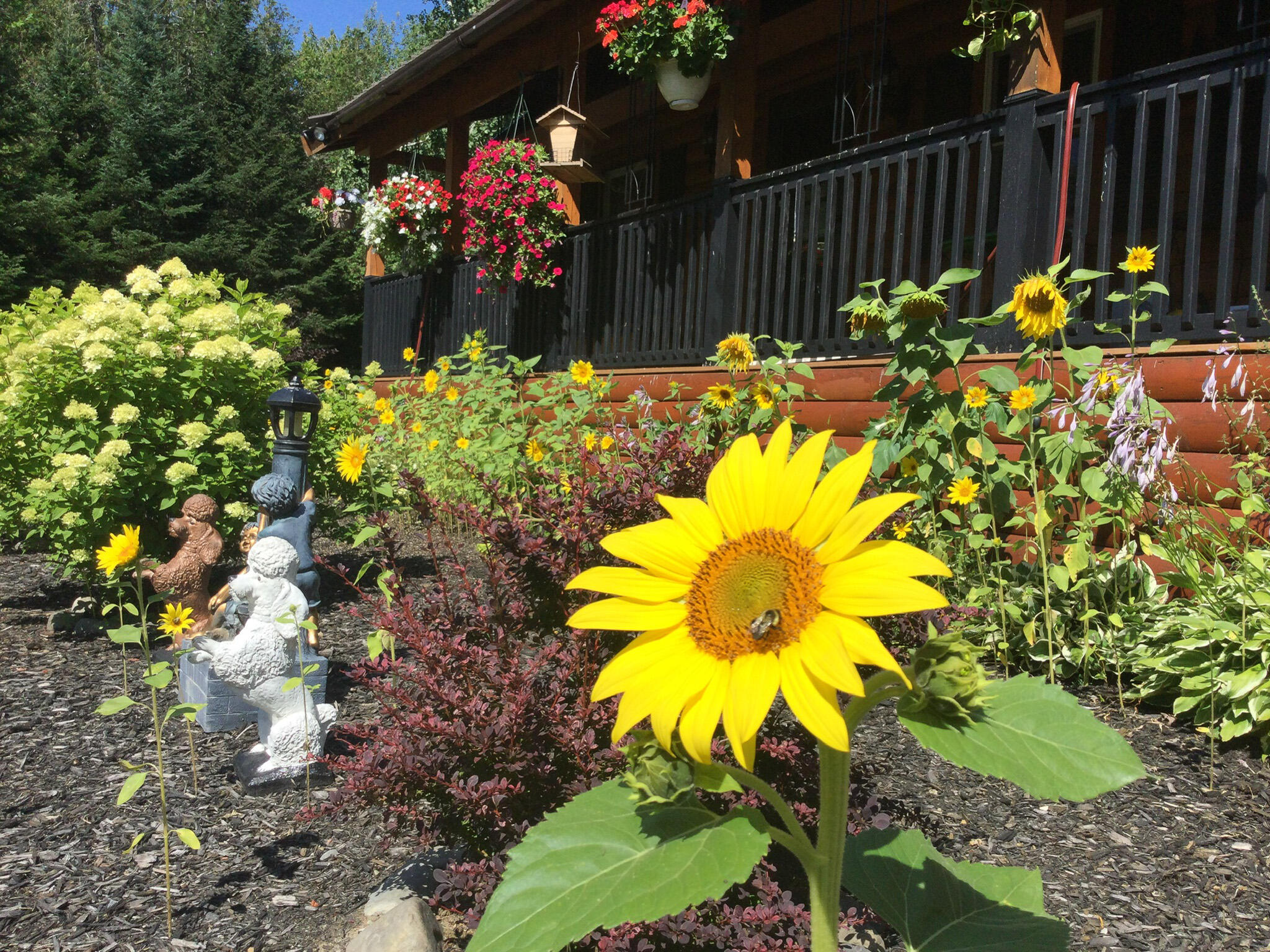 main property photo 41