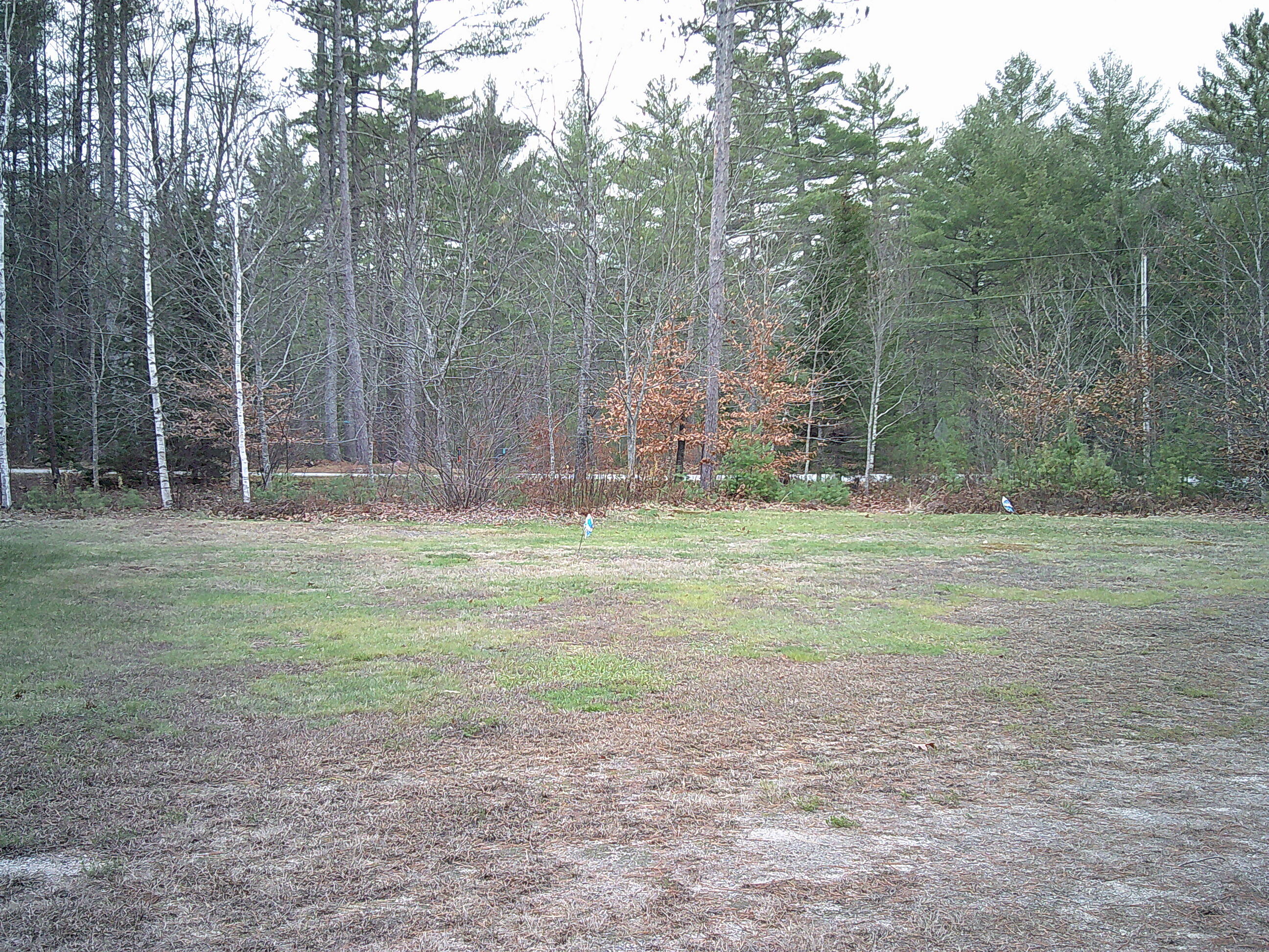 main property photo 49