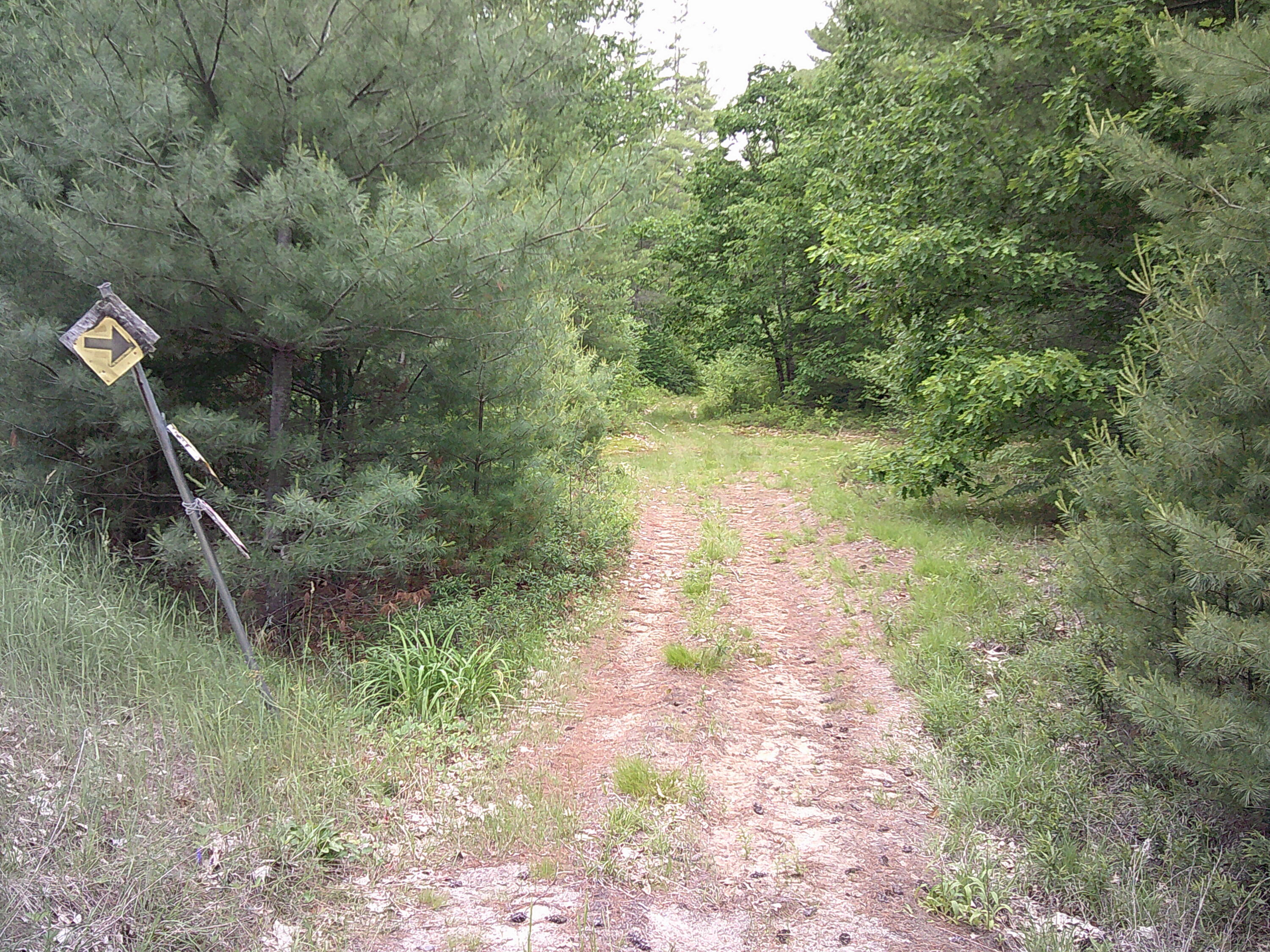 main property photo 60