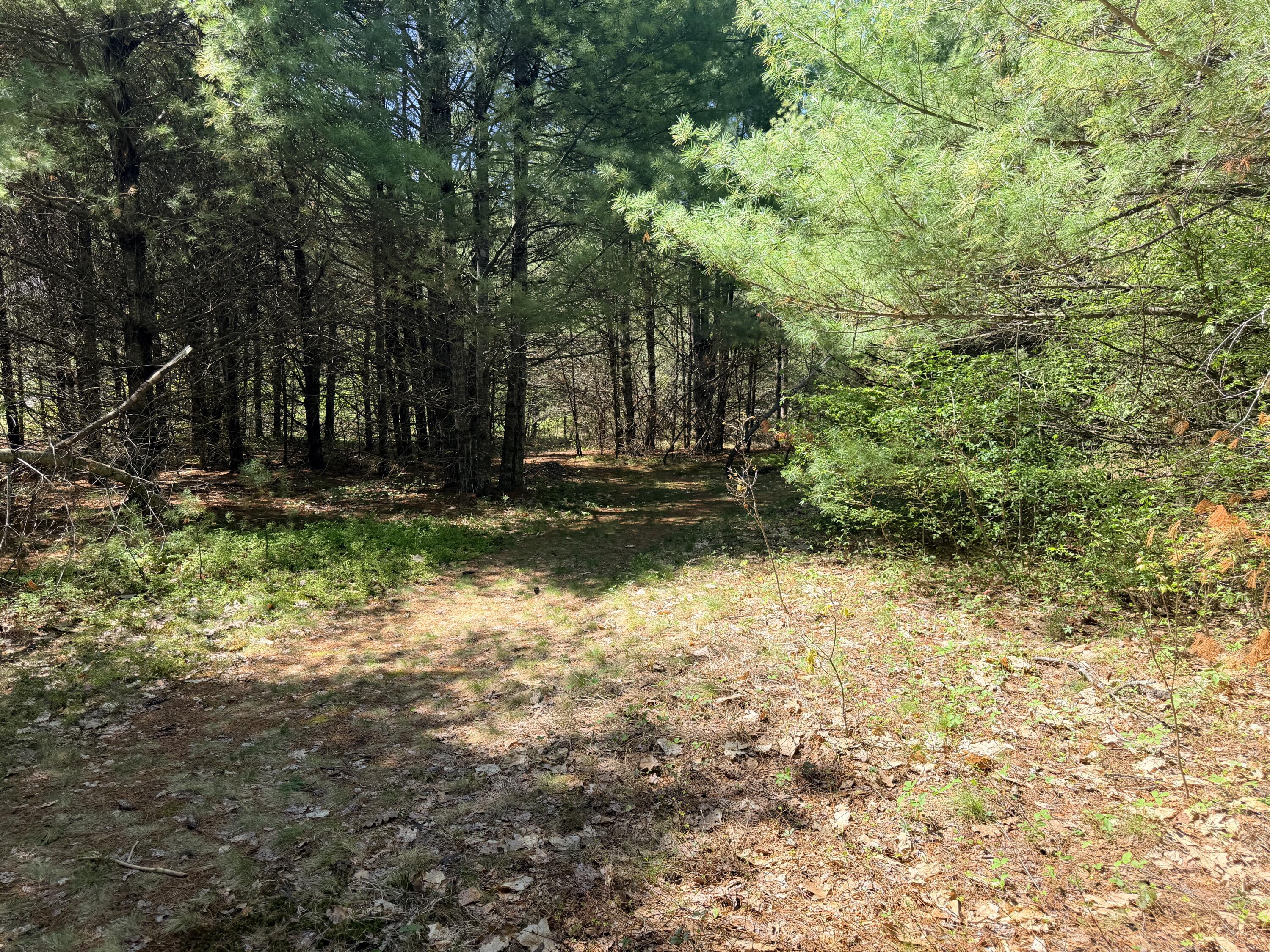 main property photo 10