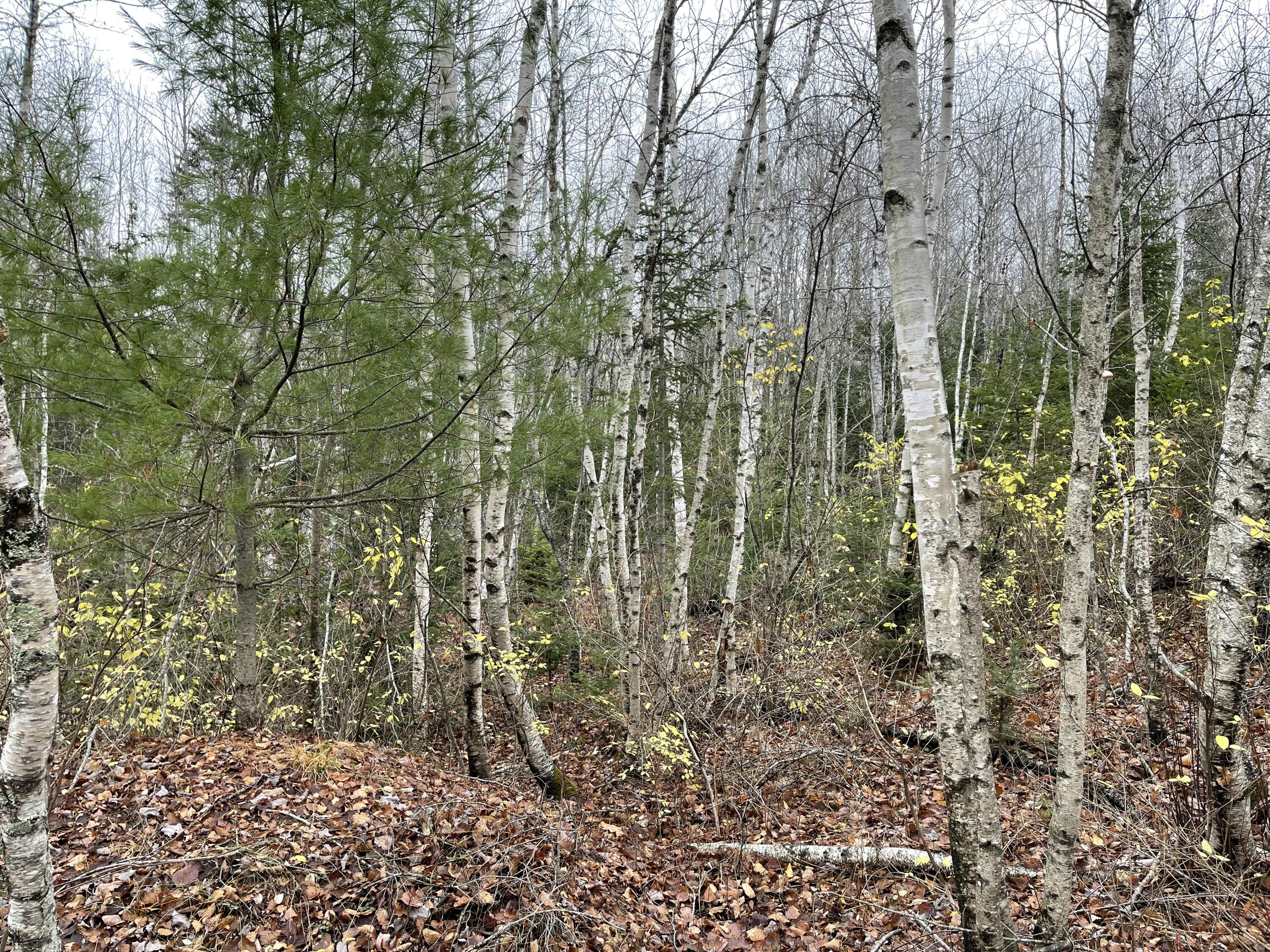 main property photo 10