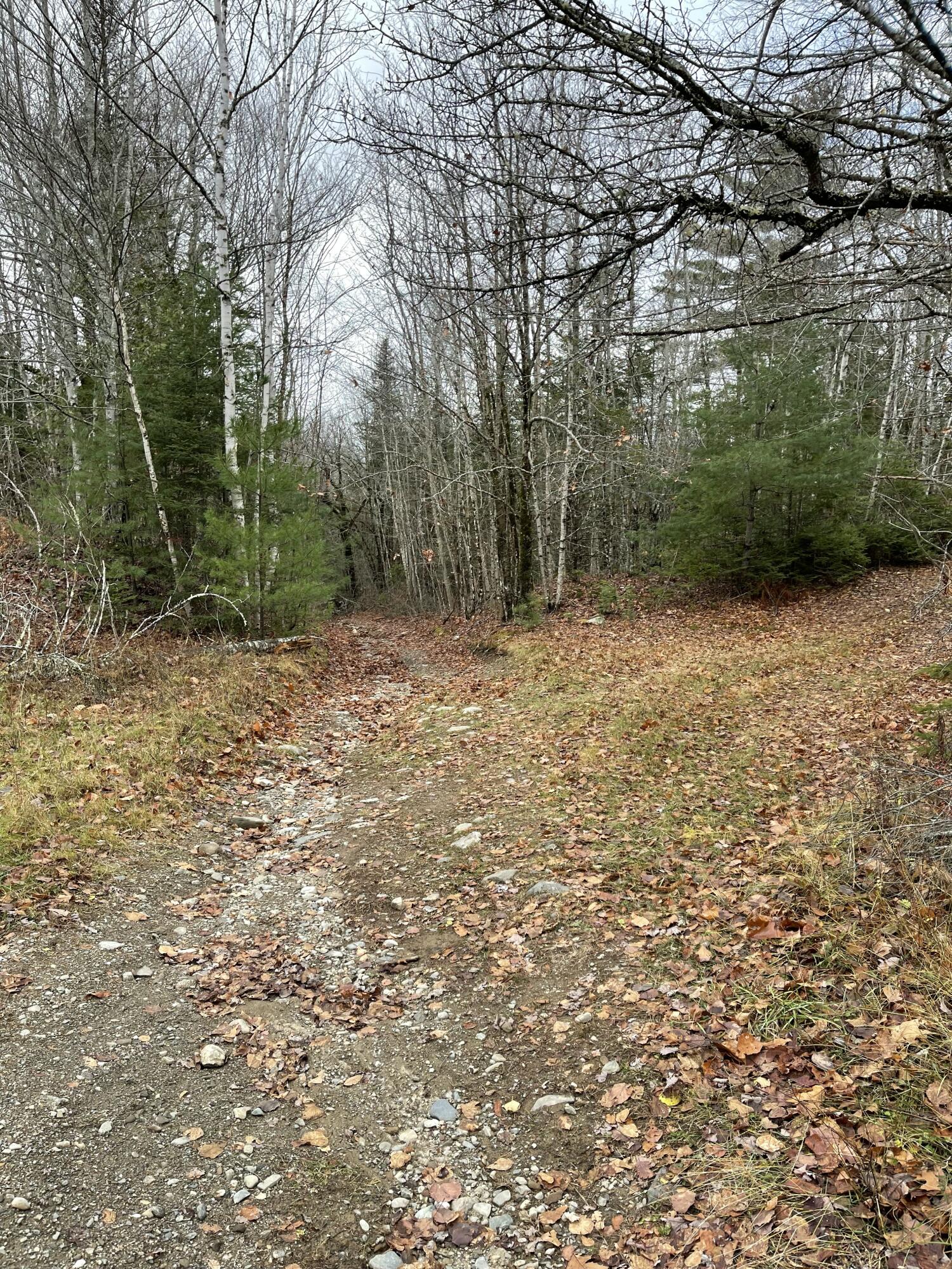 main property photo 13