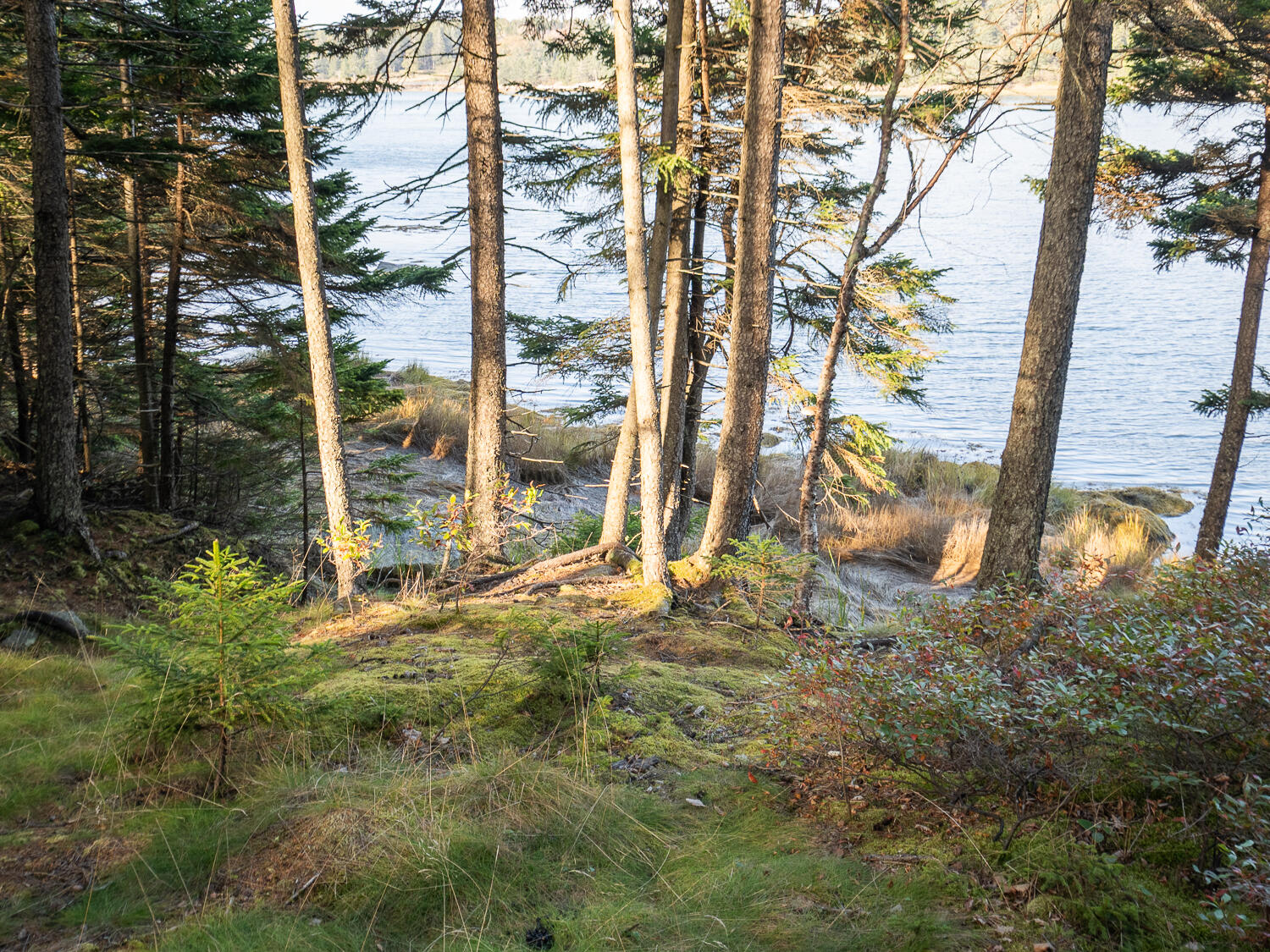 main property photo 9