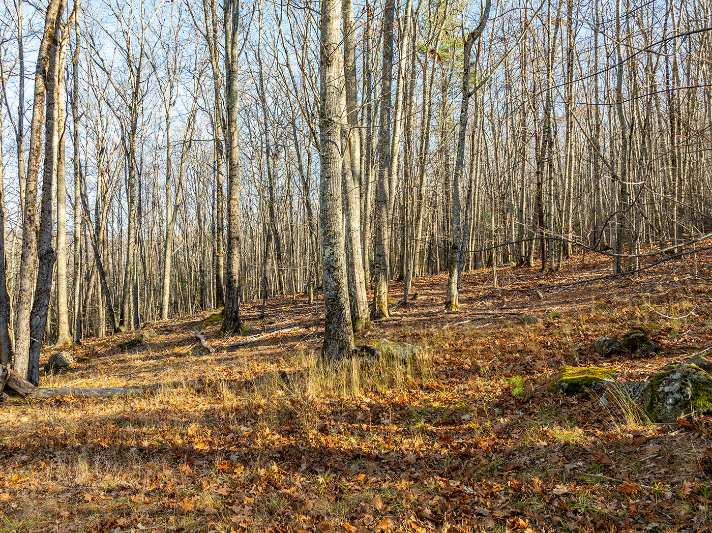 property viewer photo 25