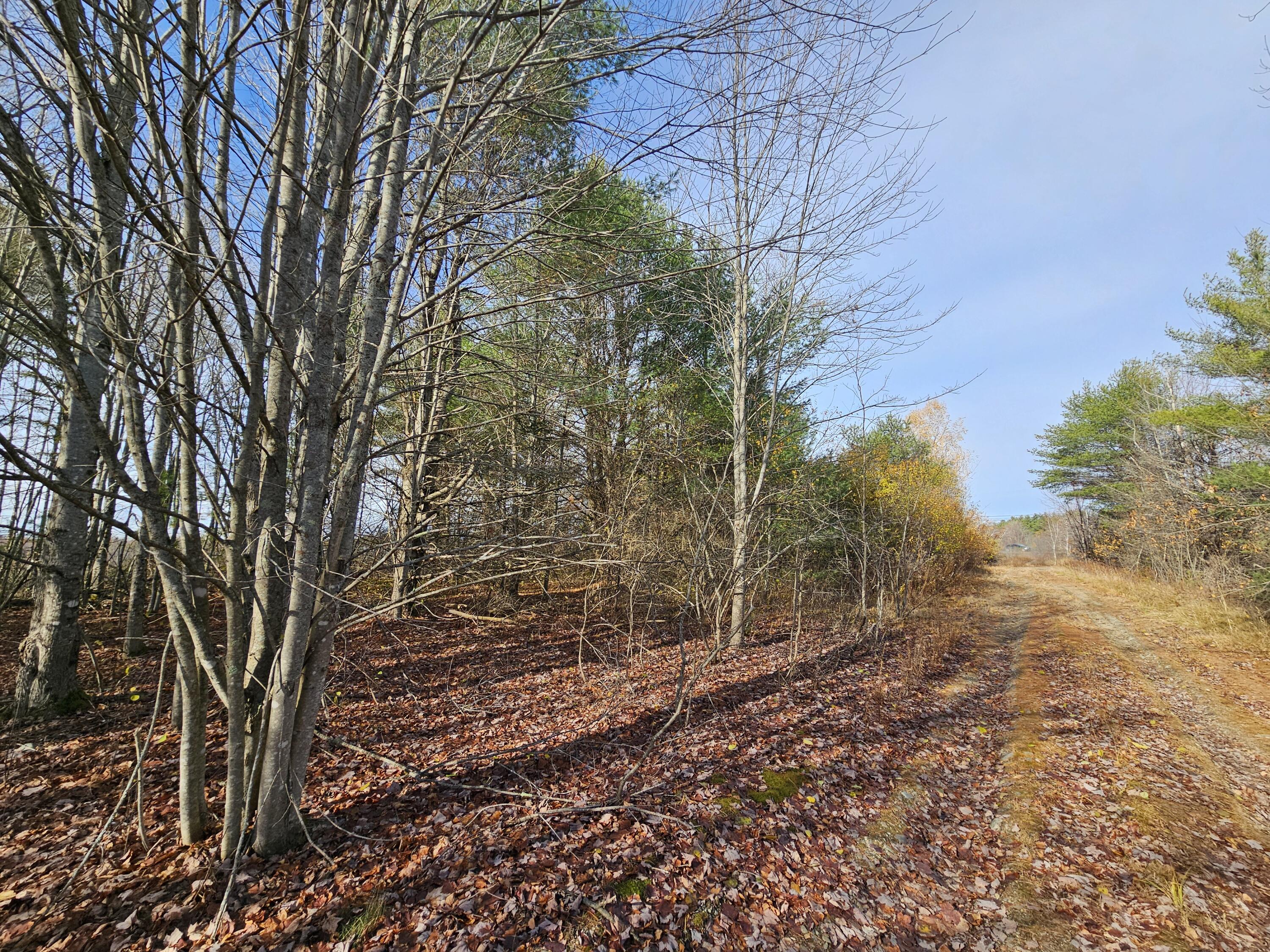 main property photo 7