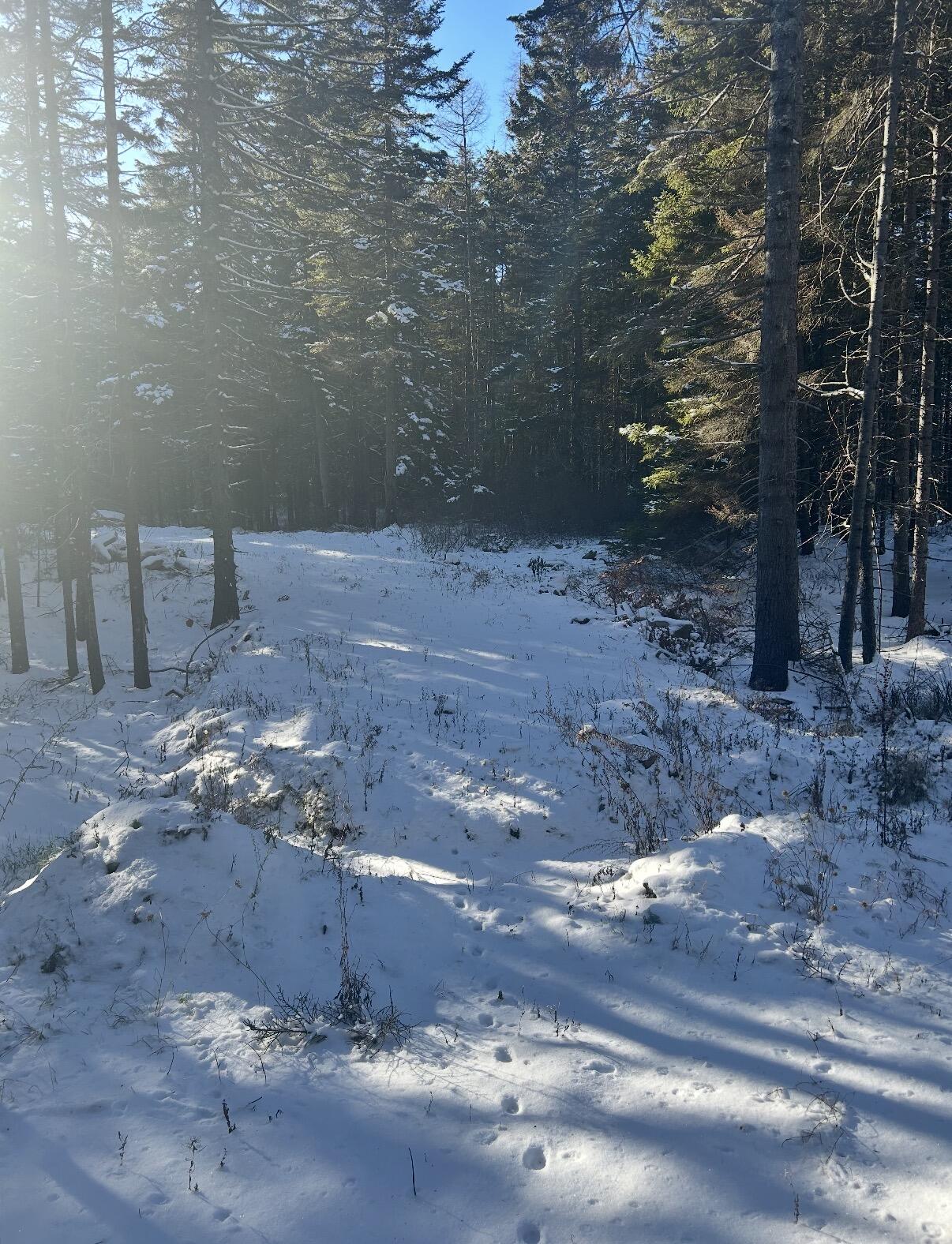 property viewer photo 5