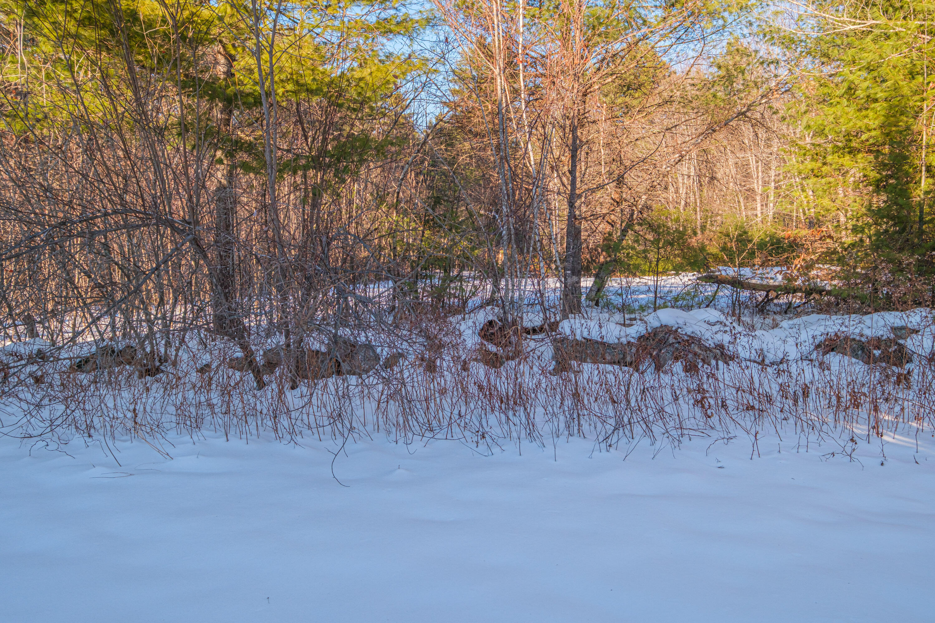main property photo 77