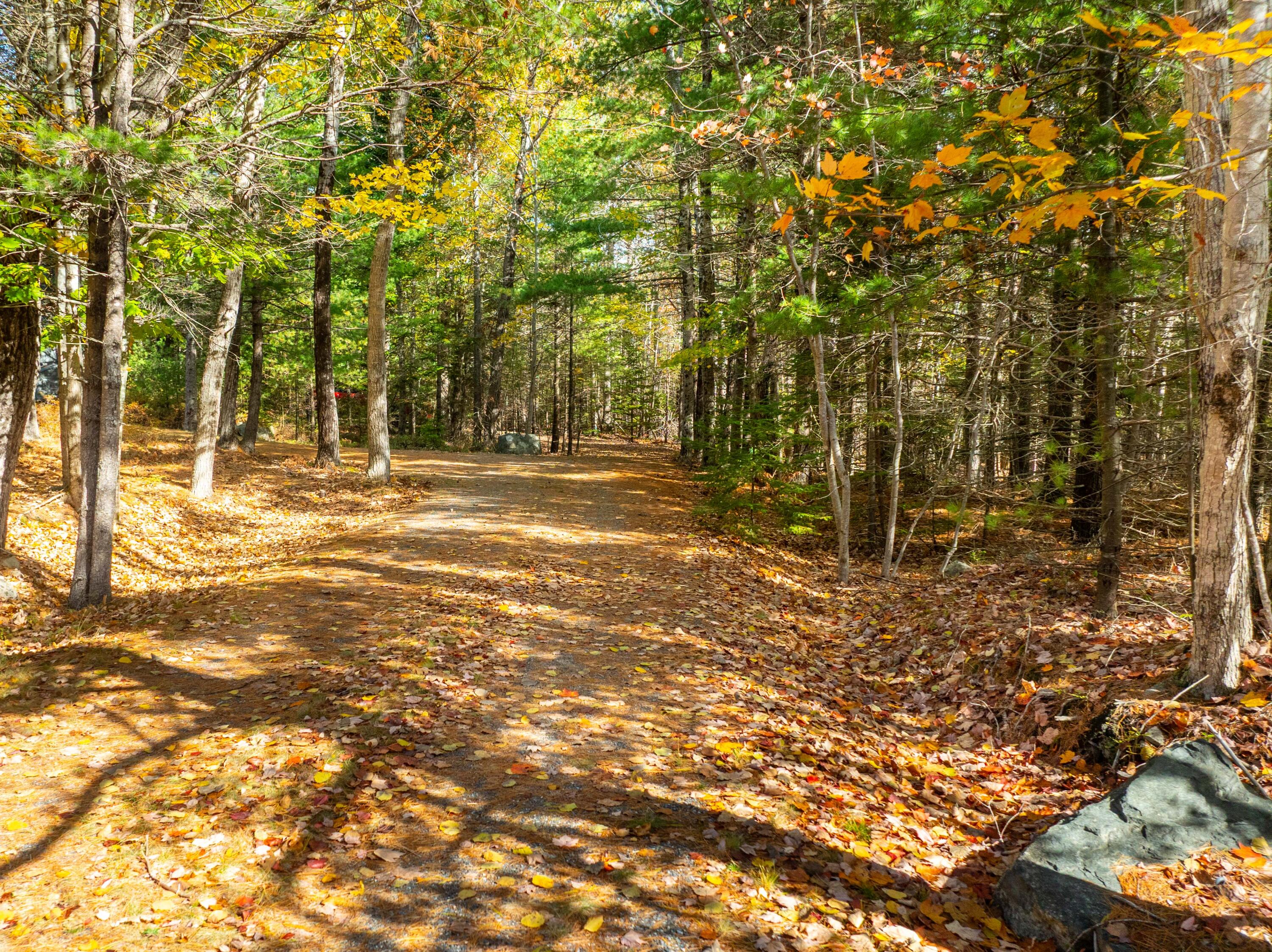 main property photo 44
