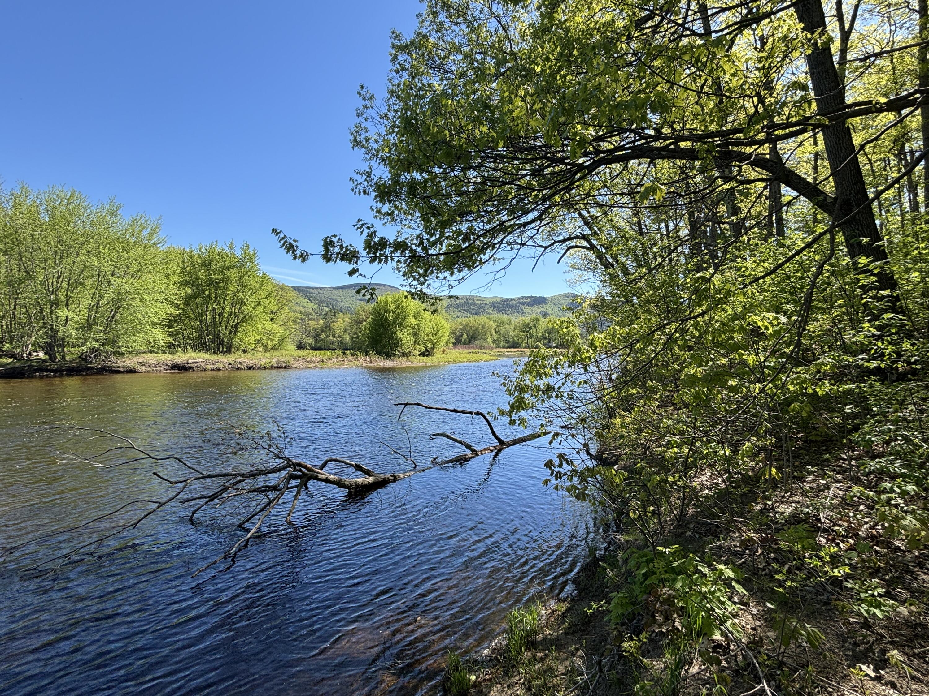 main property photo 61