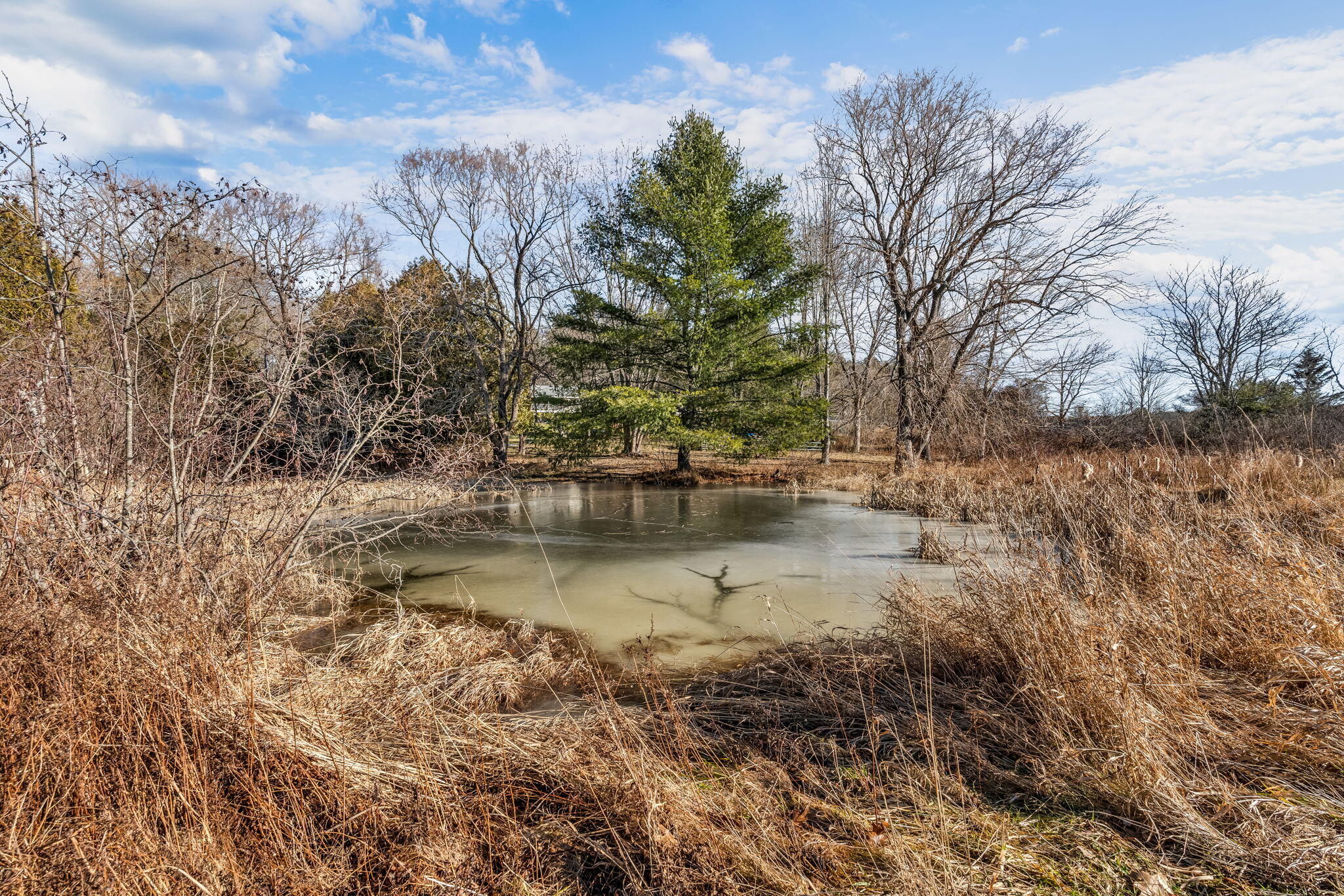 property viewer photo 51