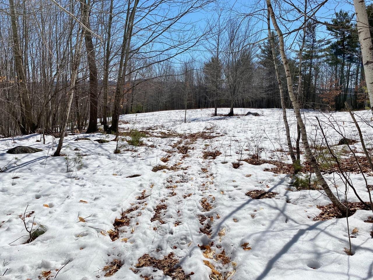 property viewer photo 10