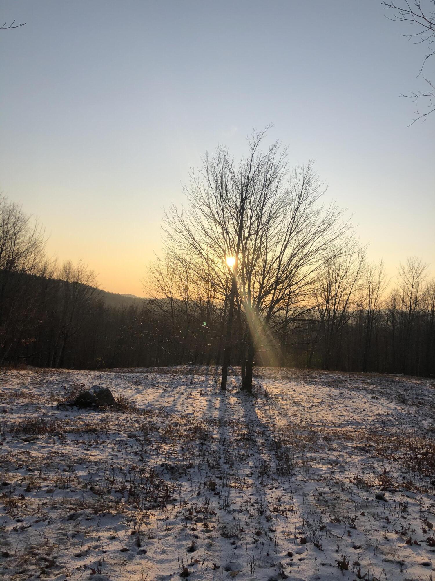 property viewer photo 14