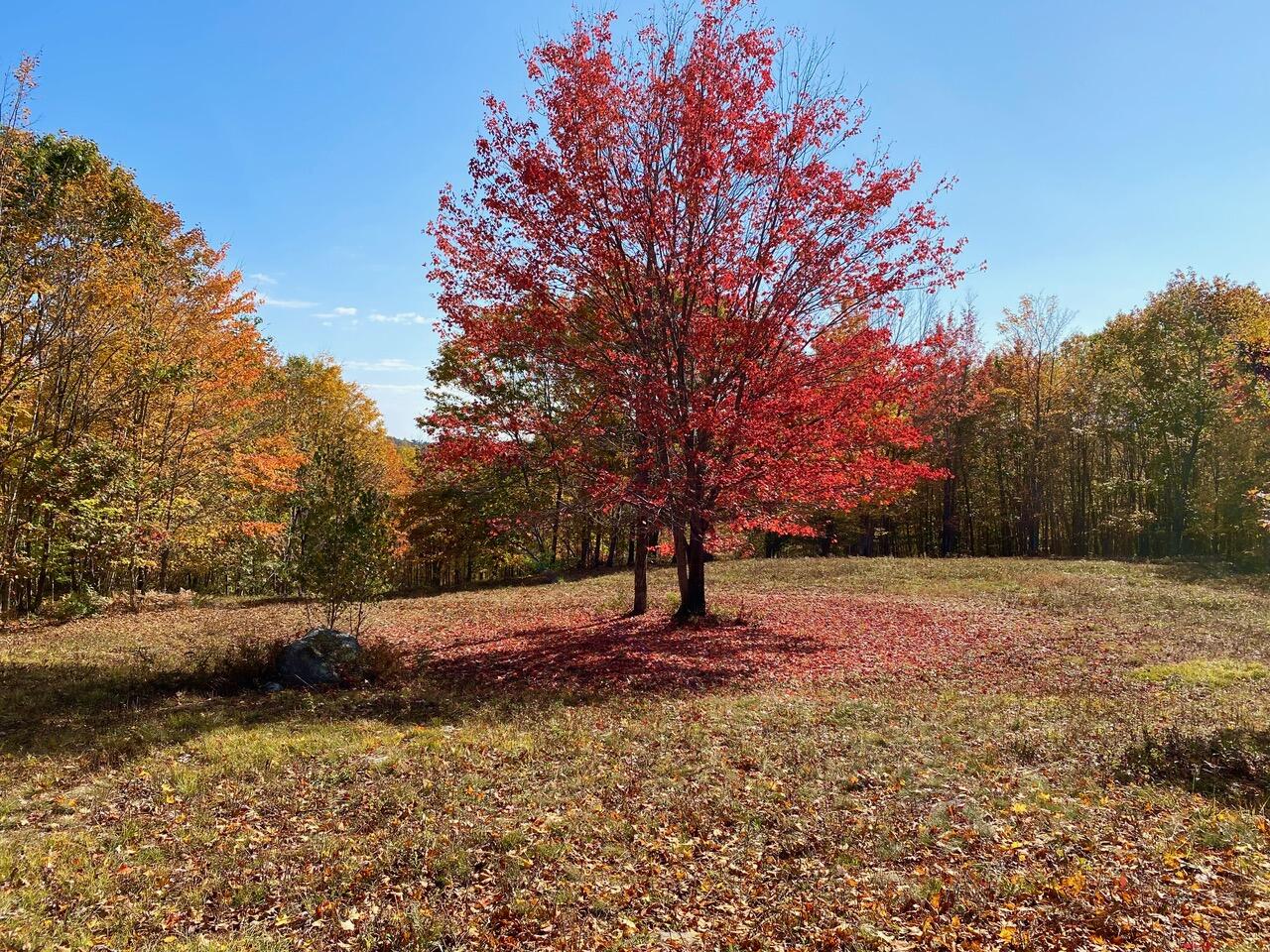 property viewer photo 15
