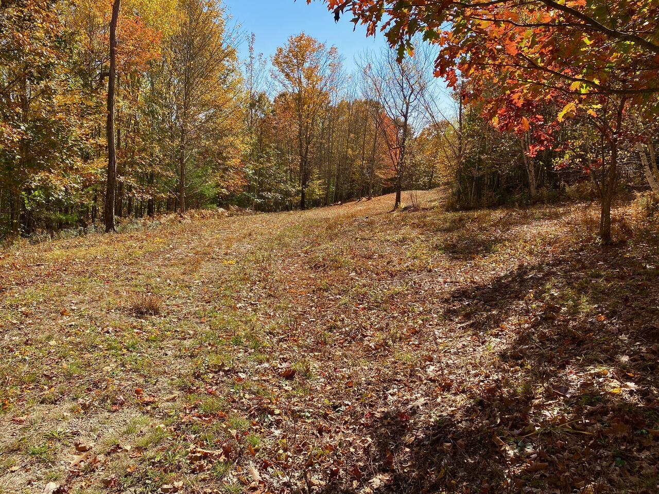 property viewer photo 16