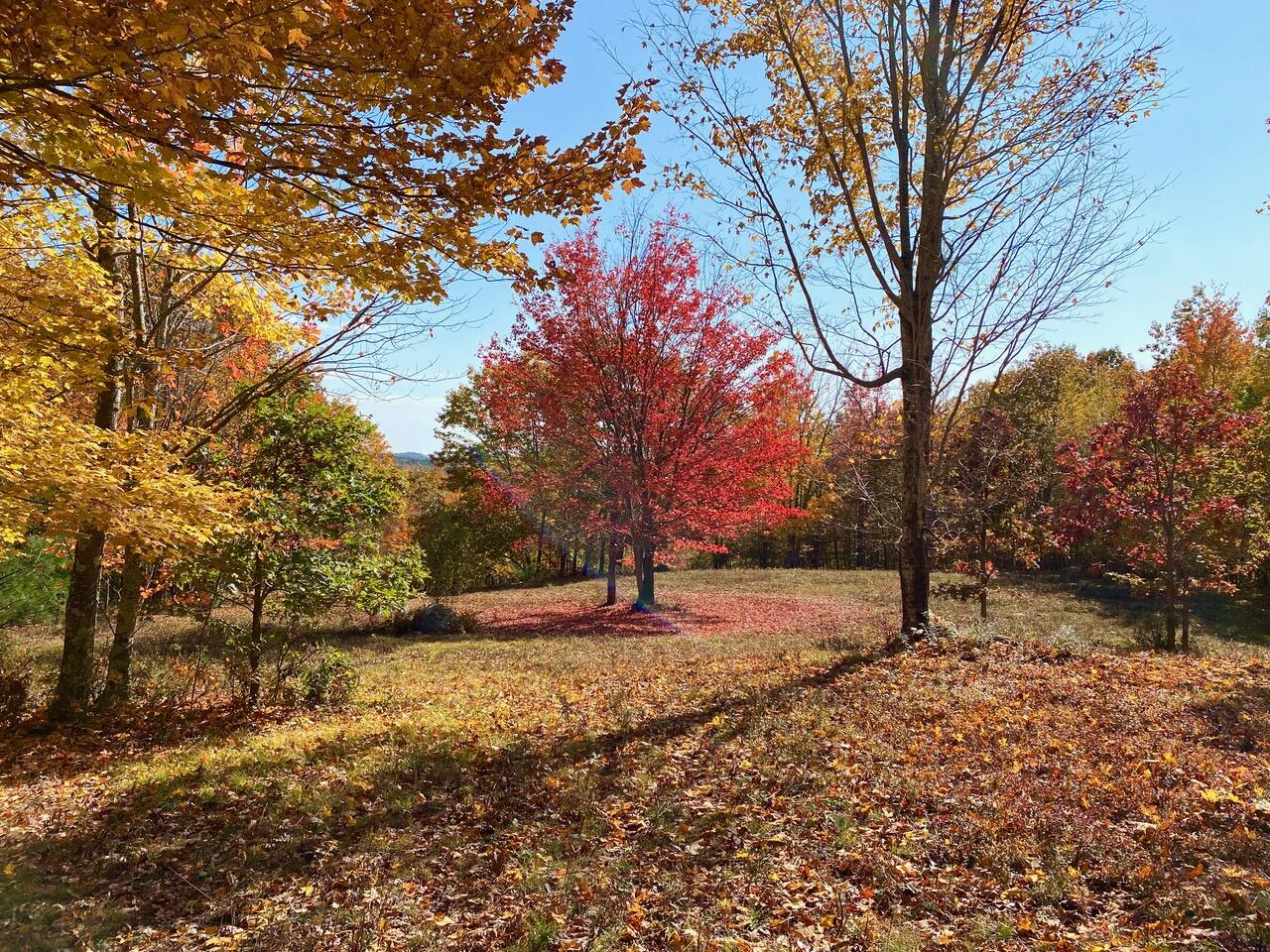 property viewer photo 17