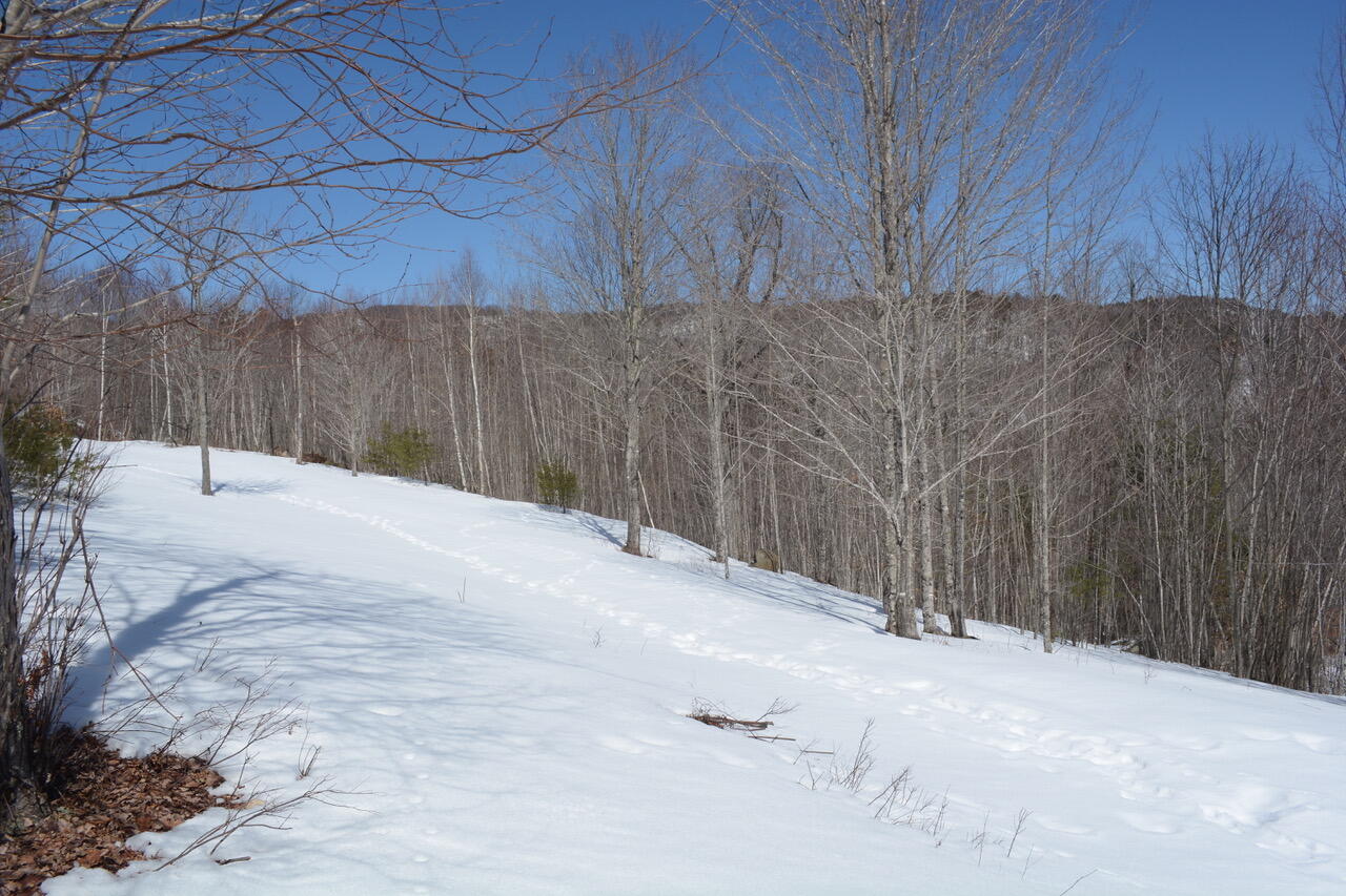 property viewer photo 2