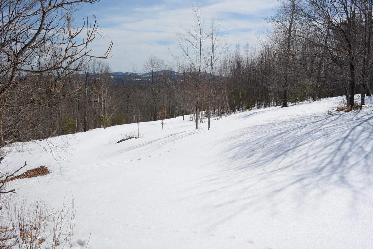 property viewer photo 4
