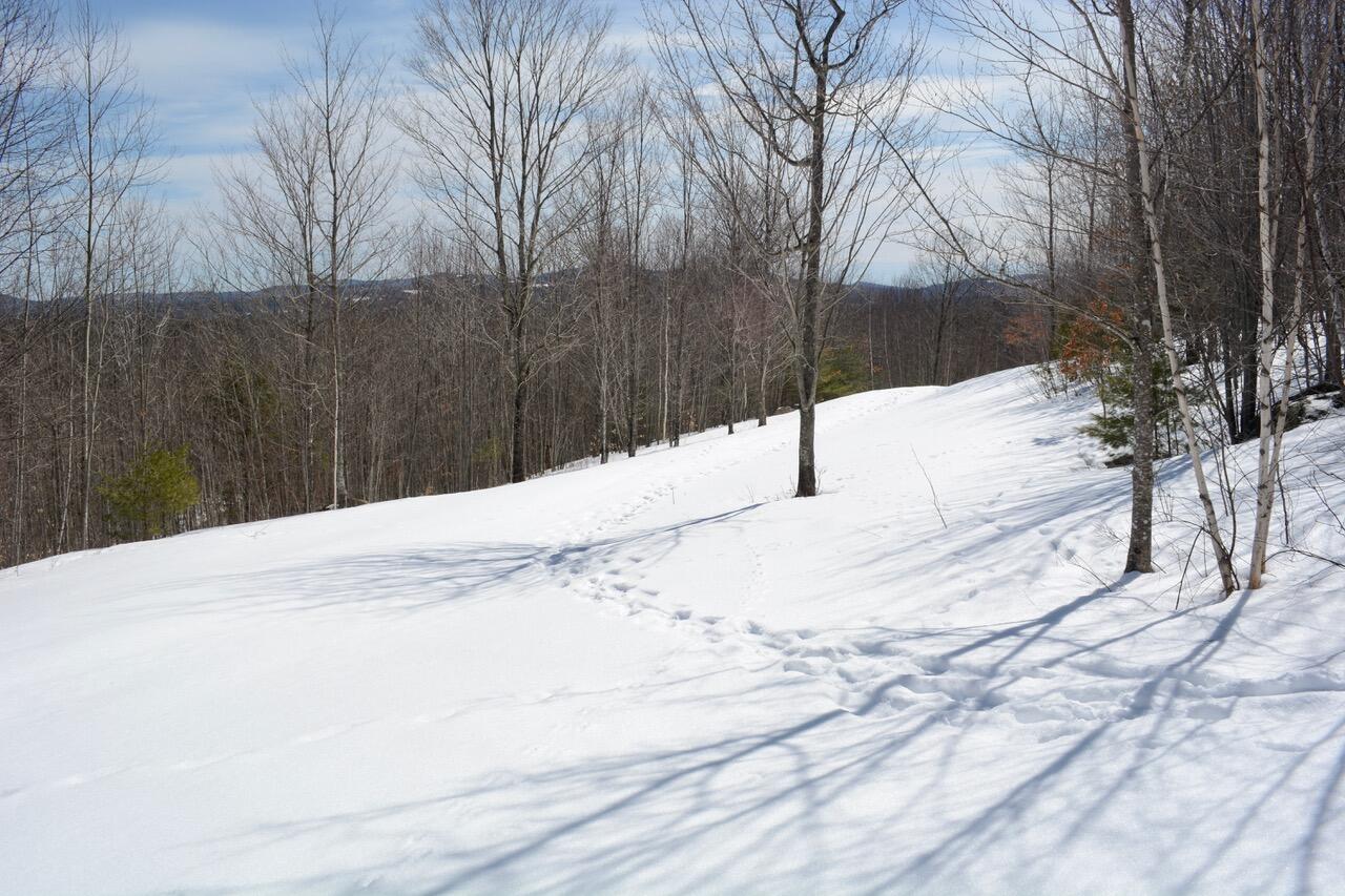 property viewer photo 6