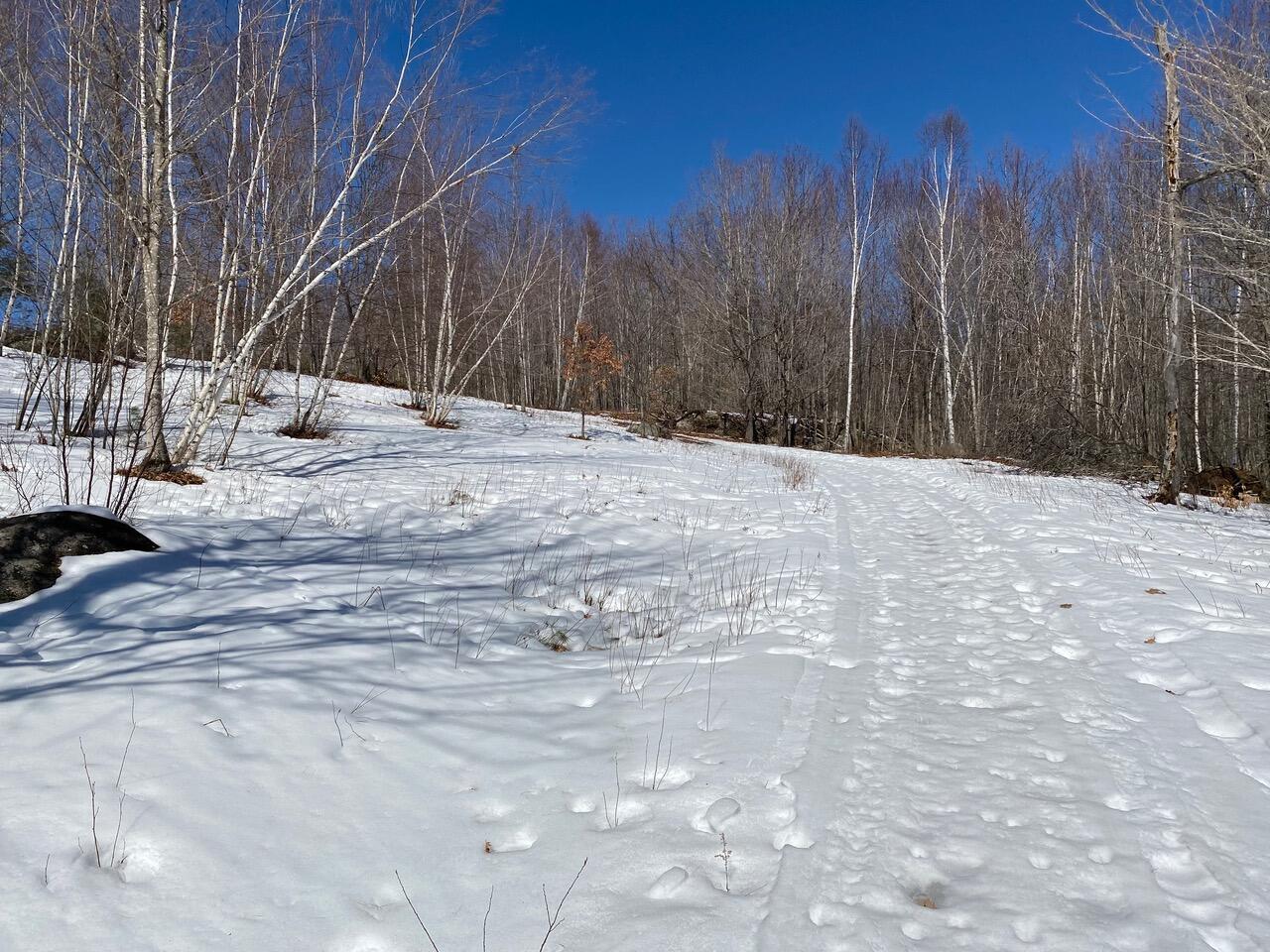 property viewer photo 7