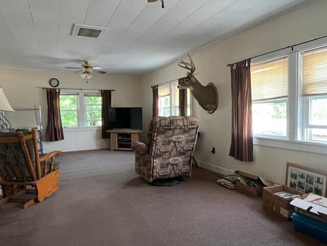 main property photo 99