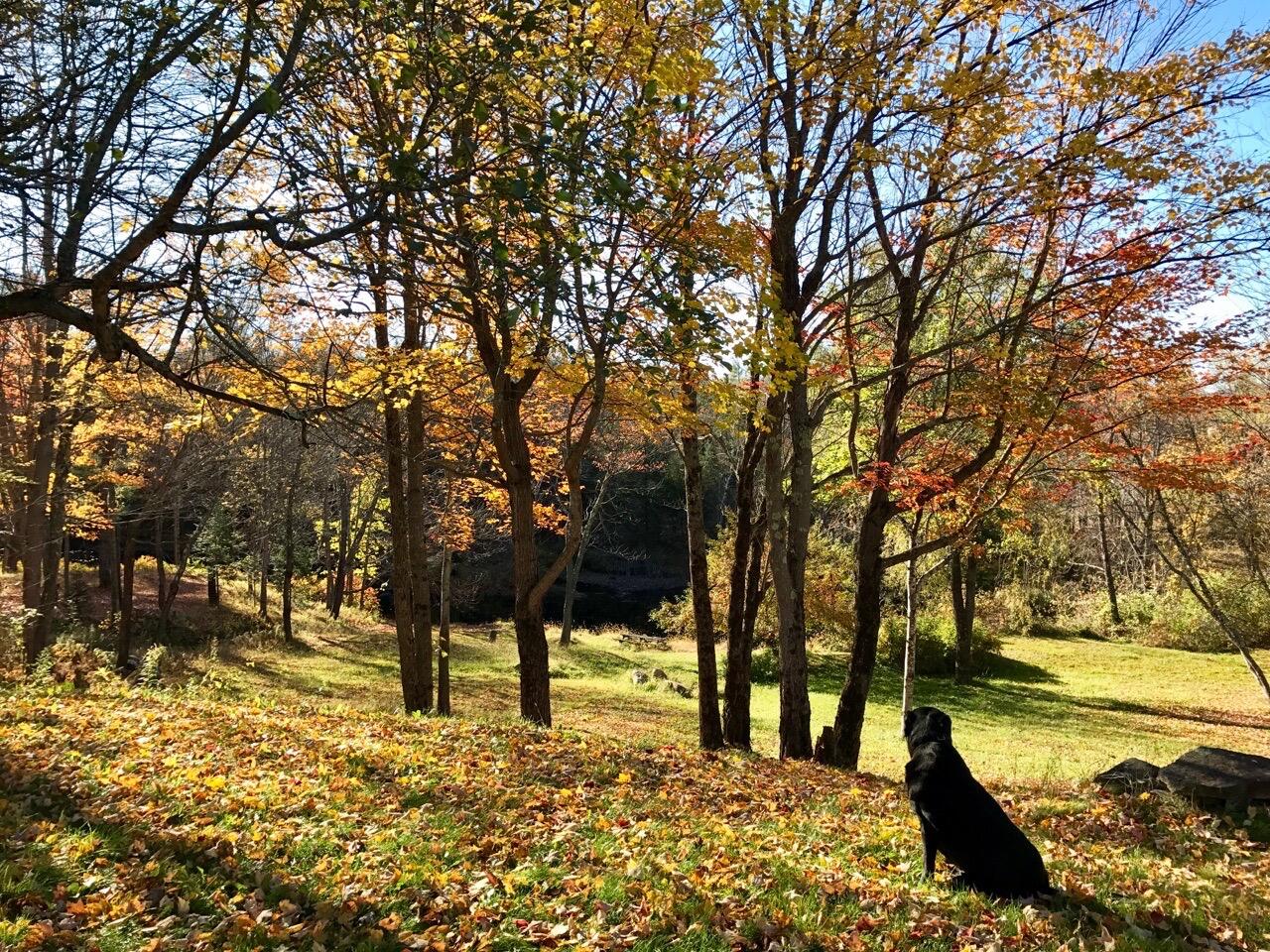 main property photo 39