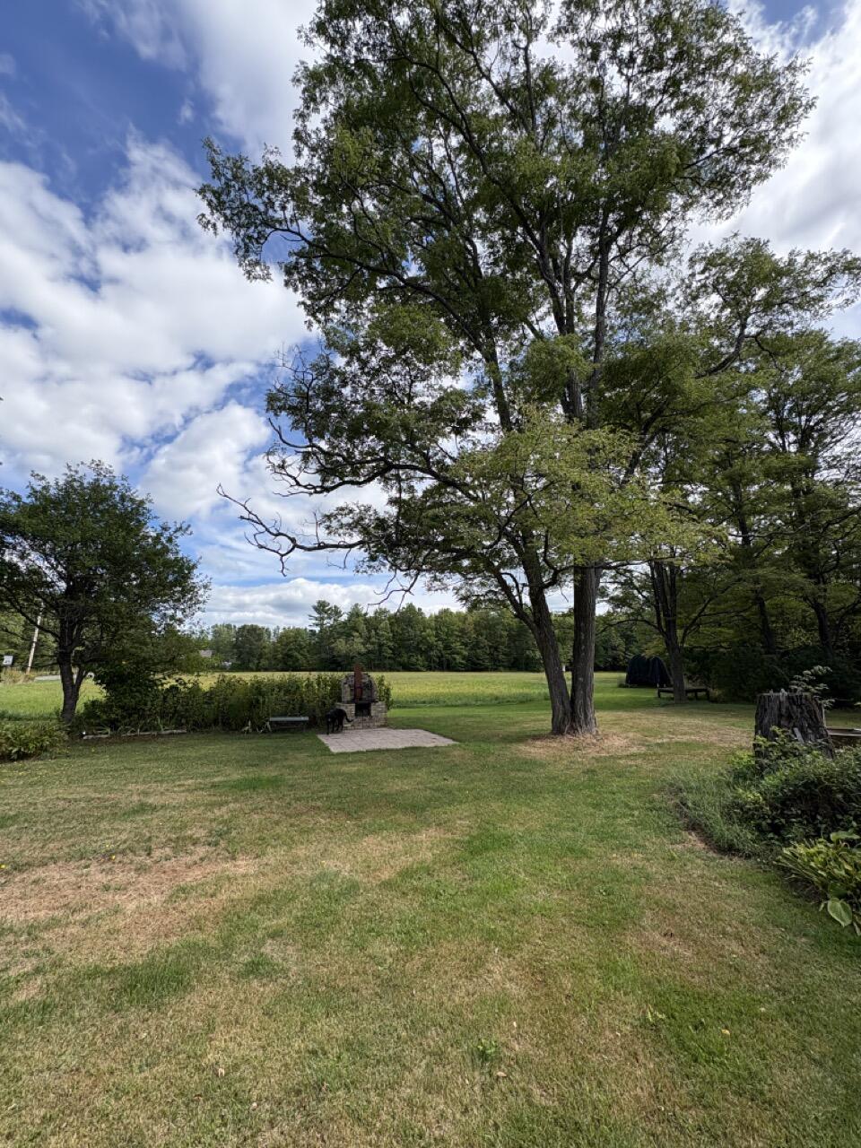 main property photo 38