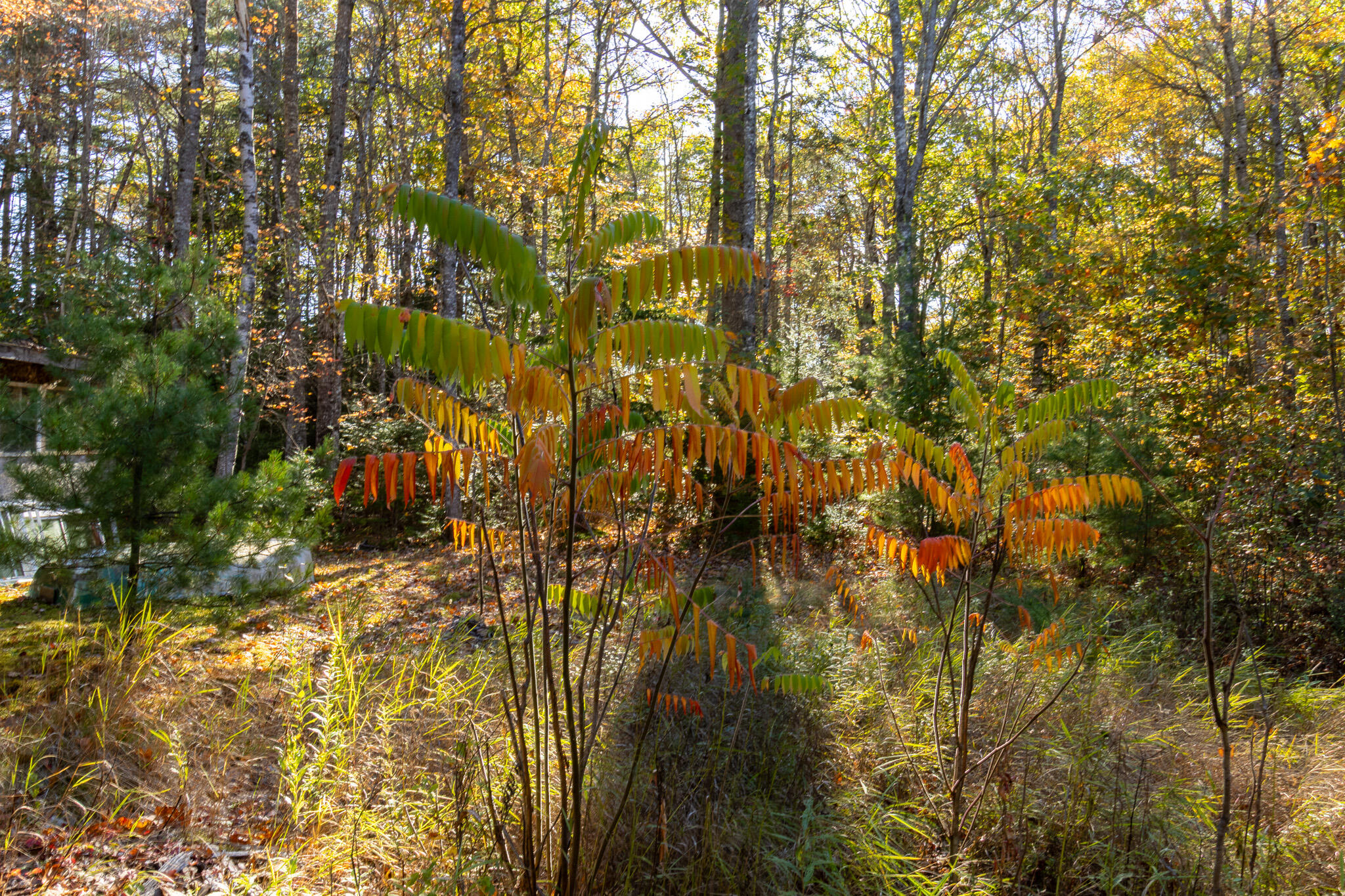 main property photo 38