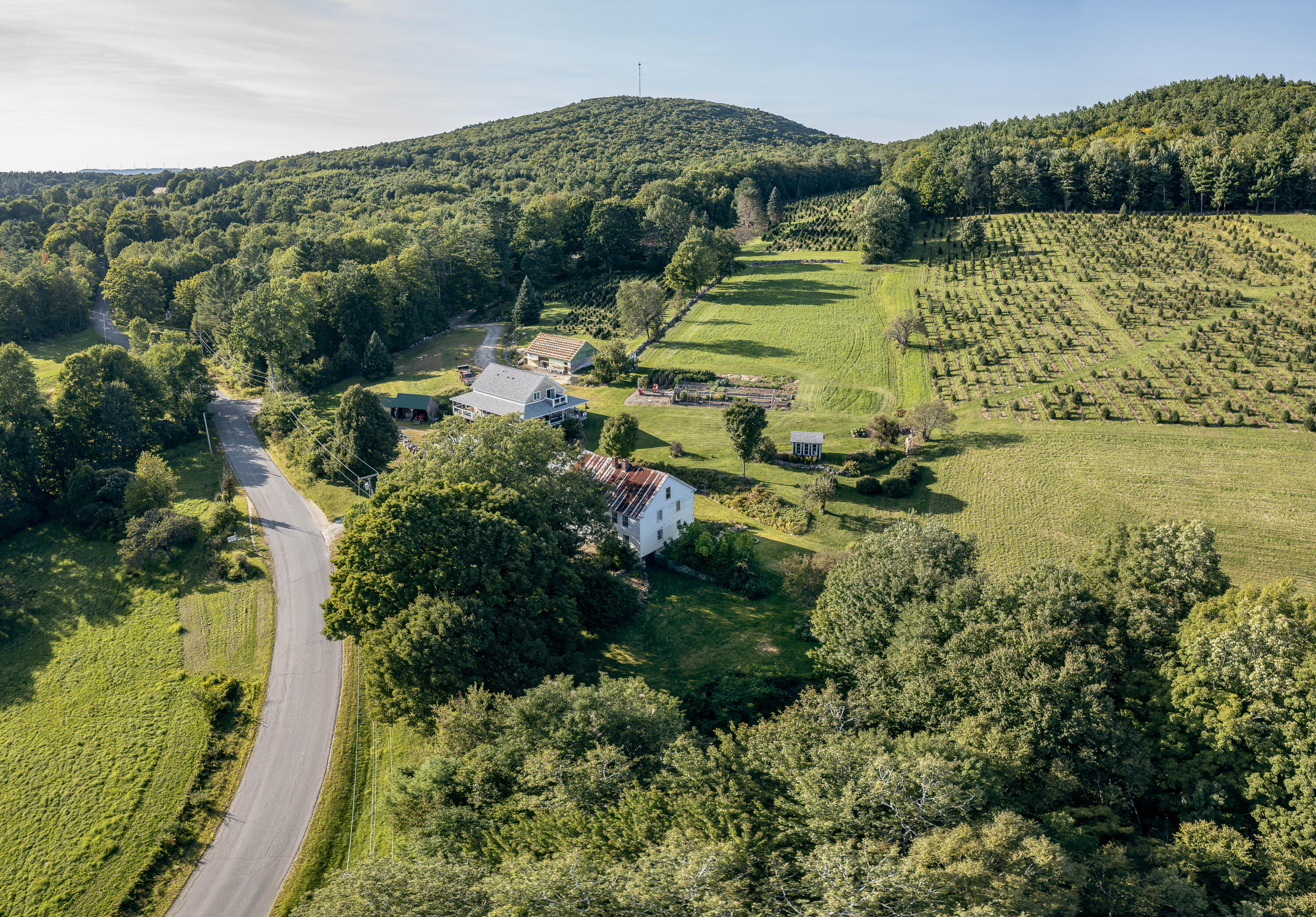 main property photo 10