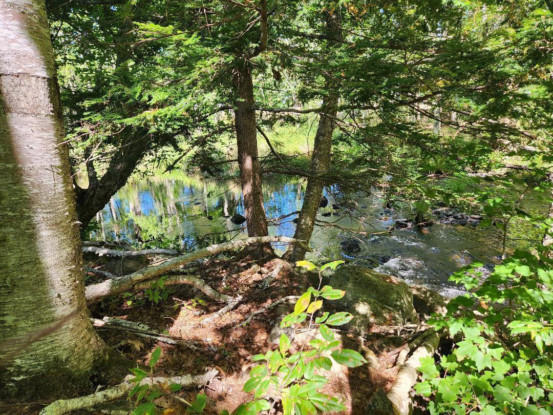 property viewer photo 2