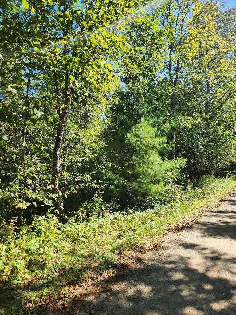 property viewer photo 3