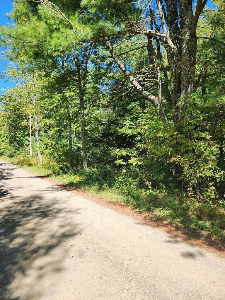 property viewer photo 4