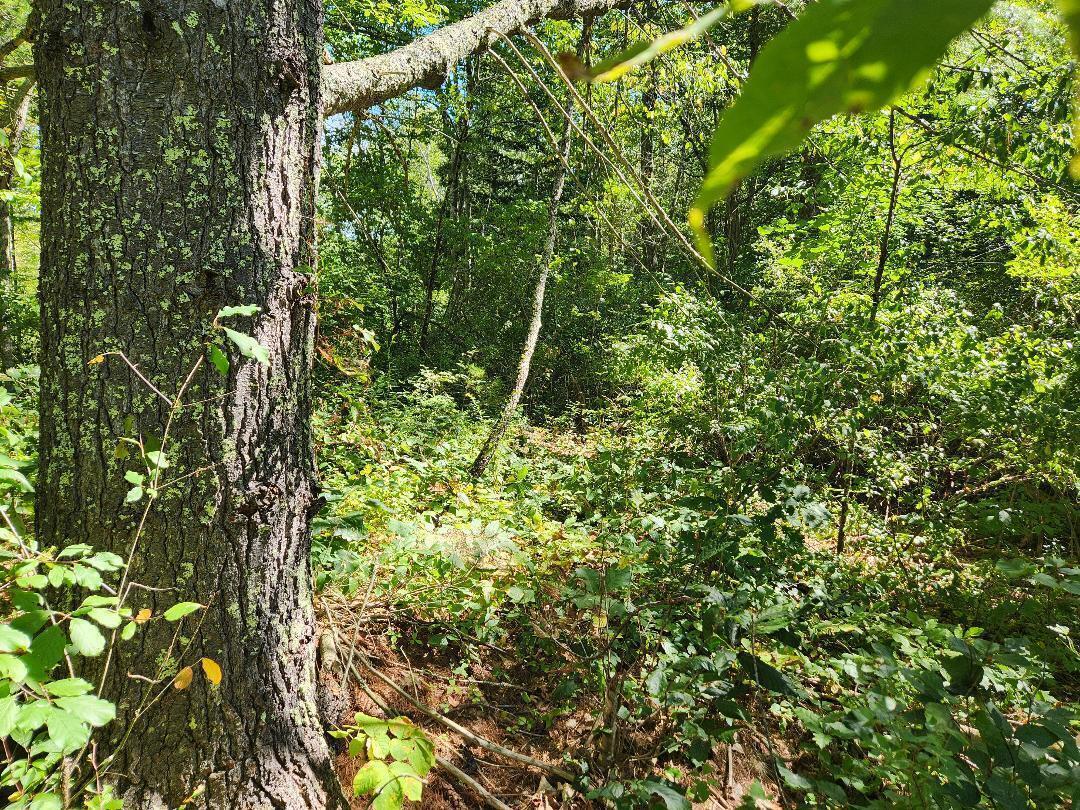 property viewer photo 6