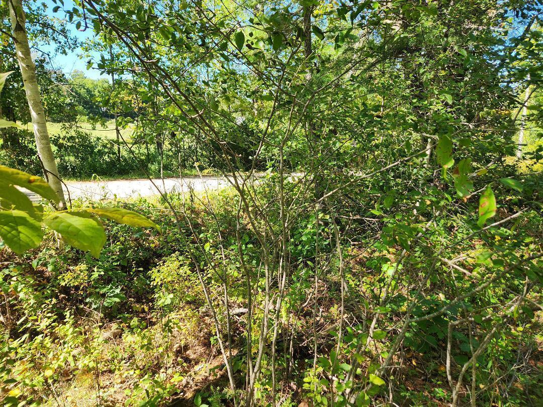 property viewer photo 7
