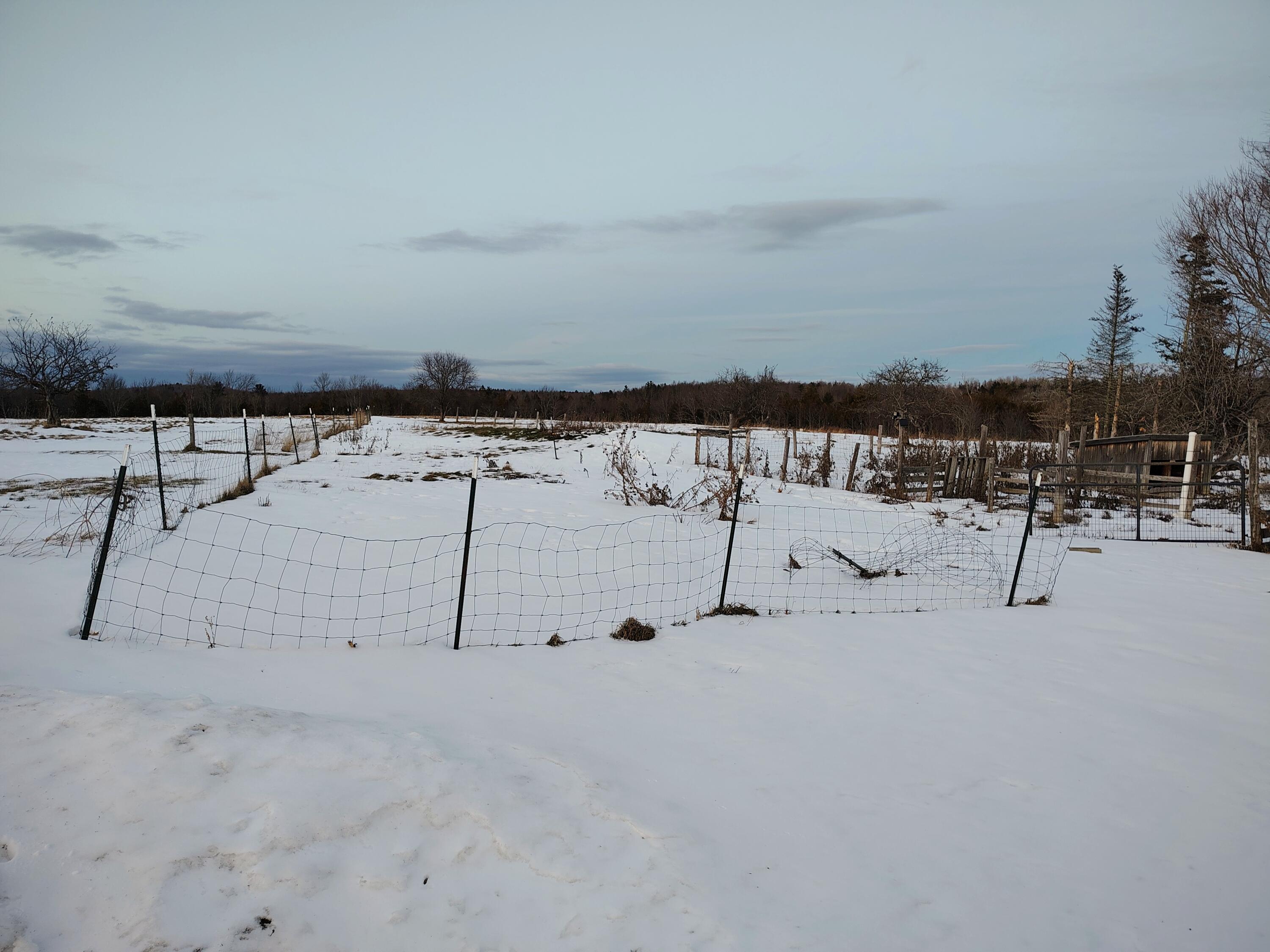 property viewer photo 55