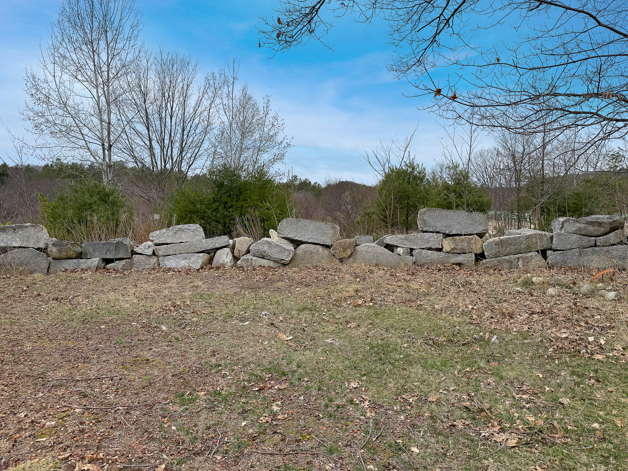 main property photo 49