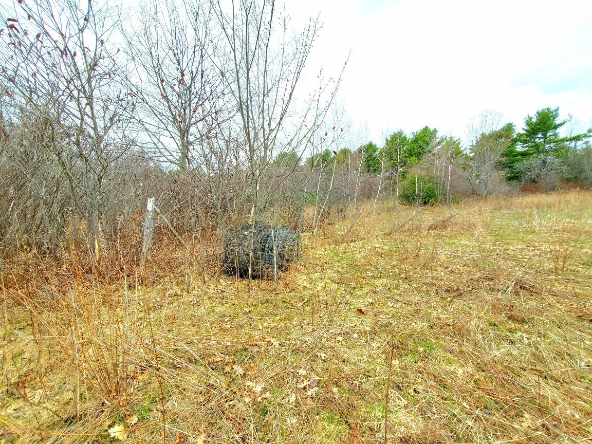 main property photo 64