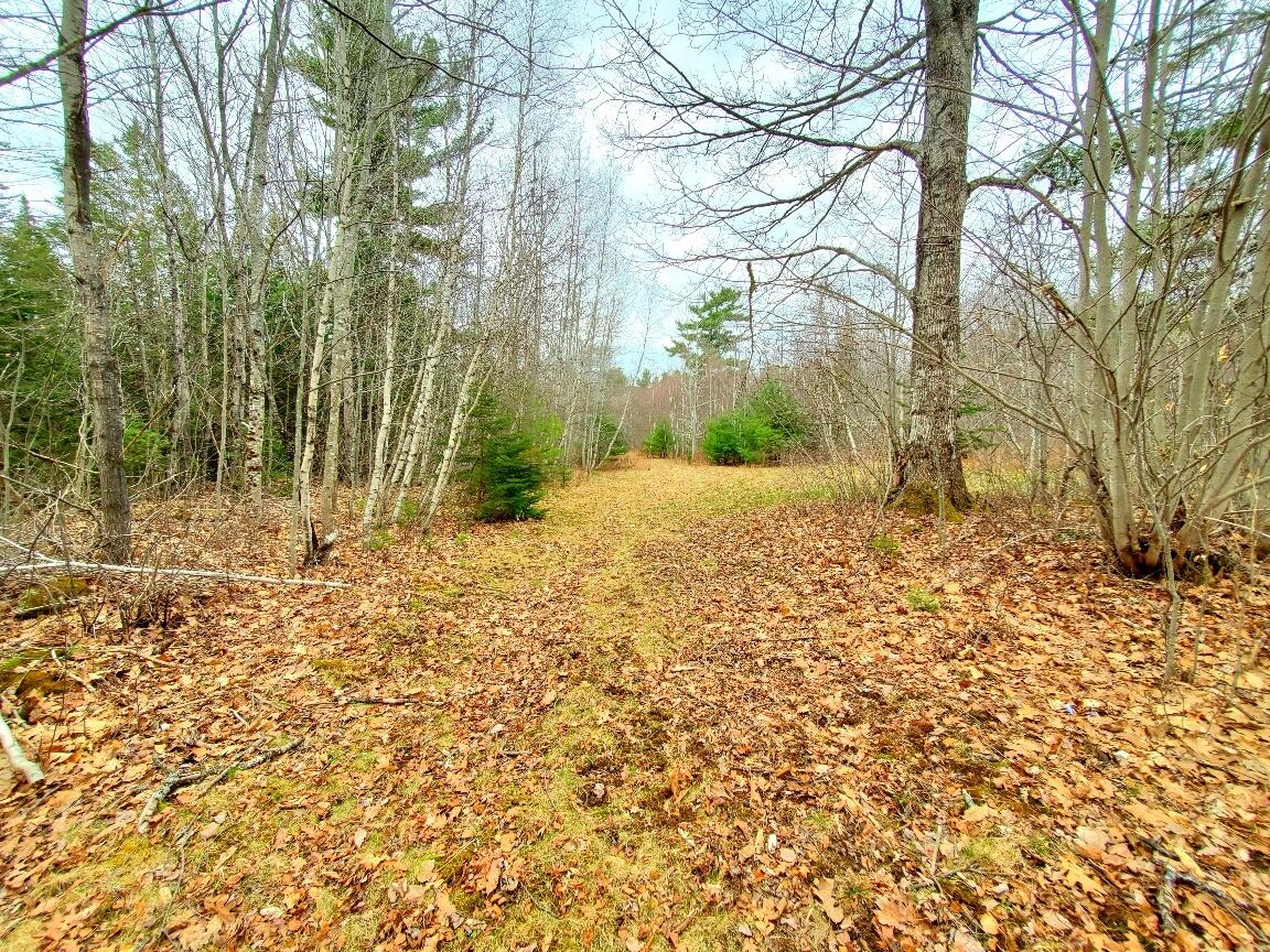 main property photo 65