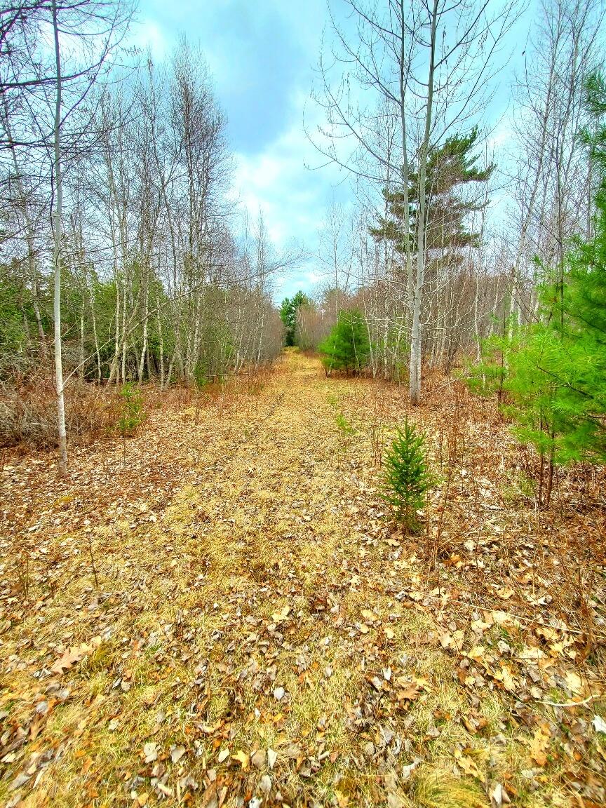 main property photo 66