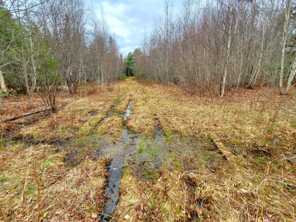 main property photo 67