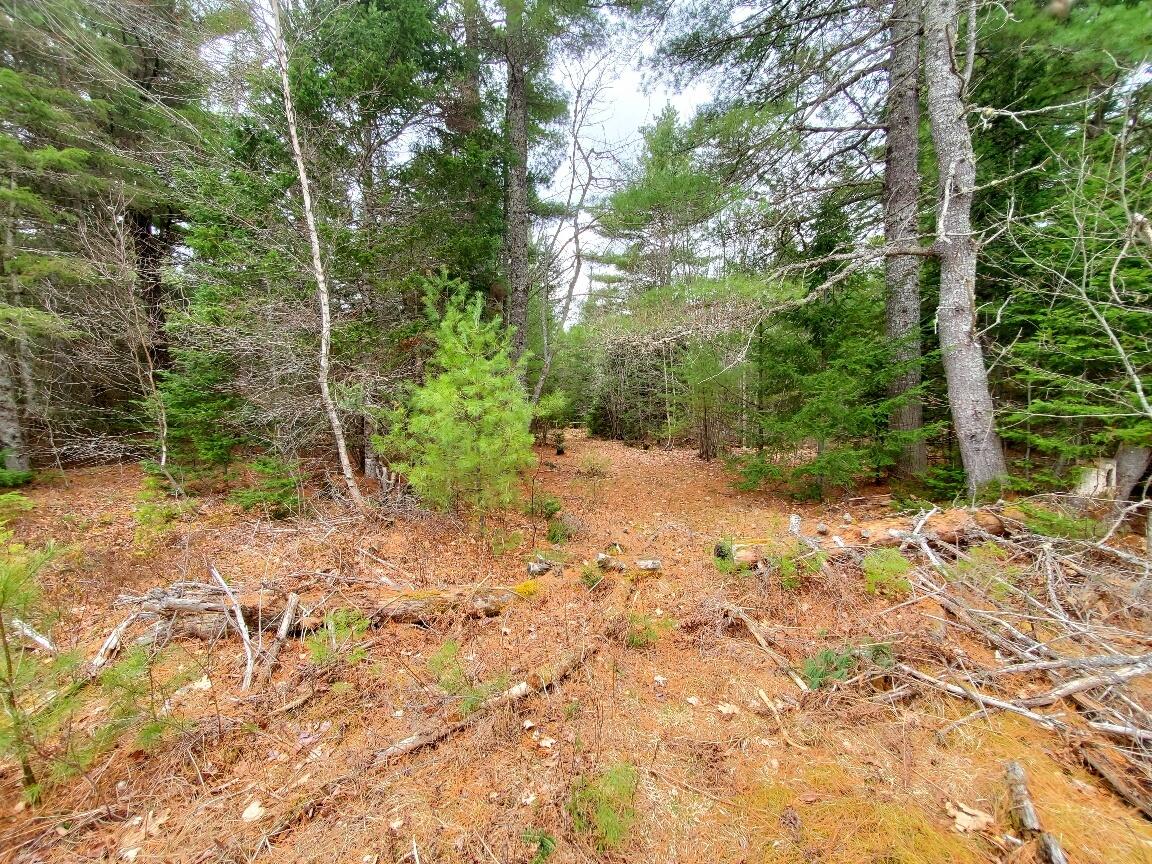 main property photo 74