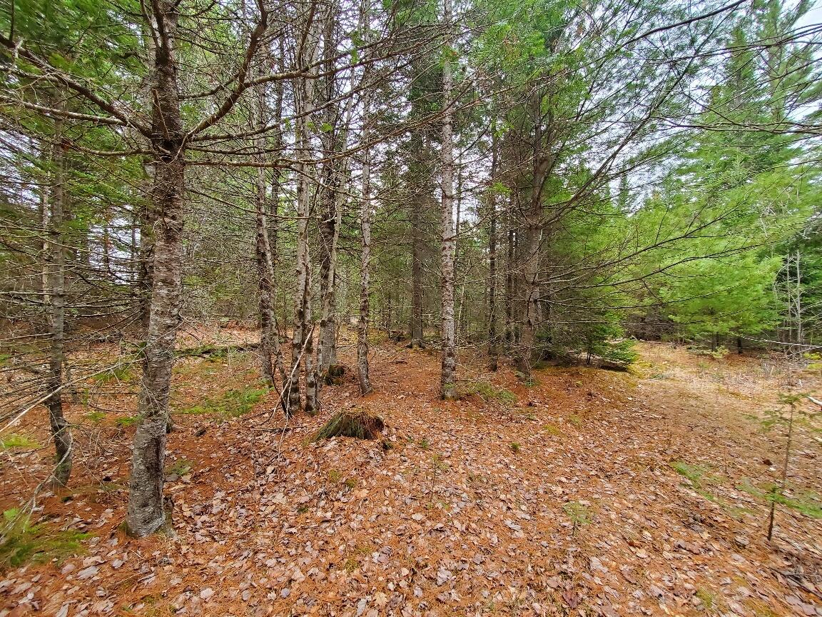 main property photo 75