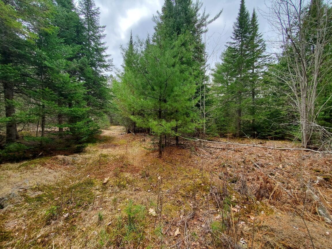 main property photo 76
