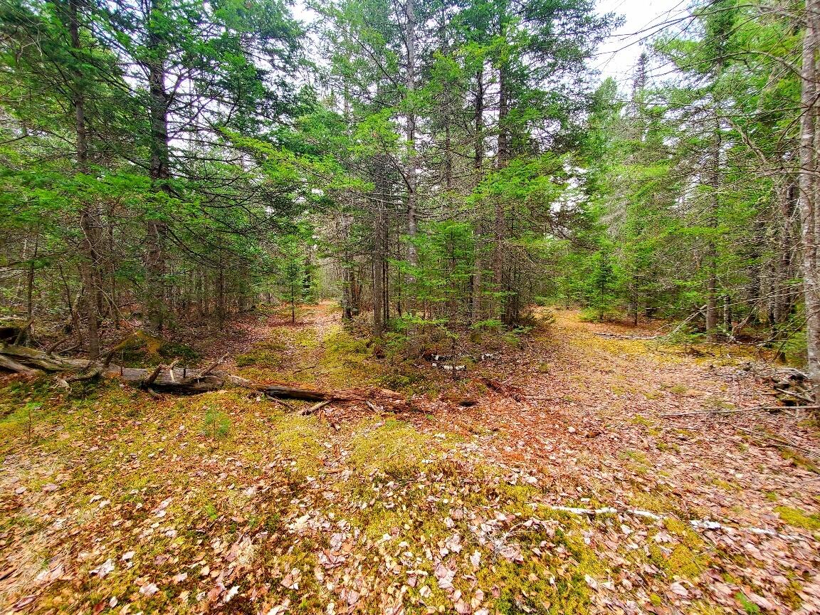 main property photo 77