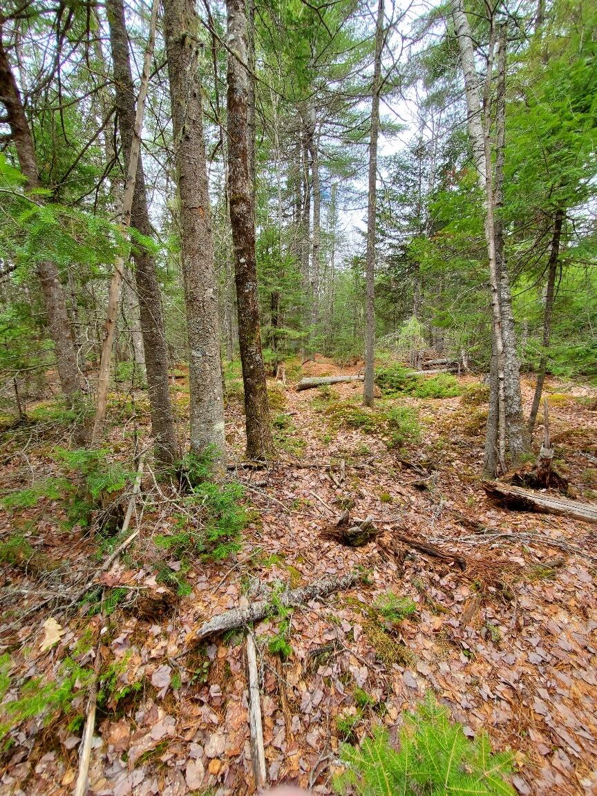 main property photo 78