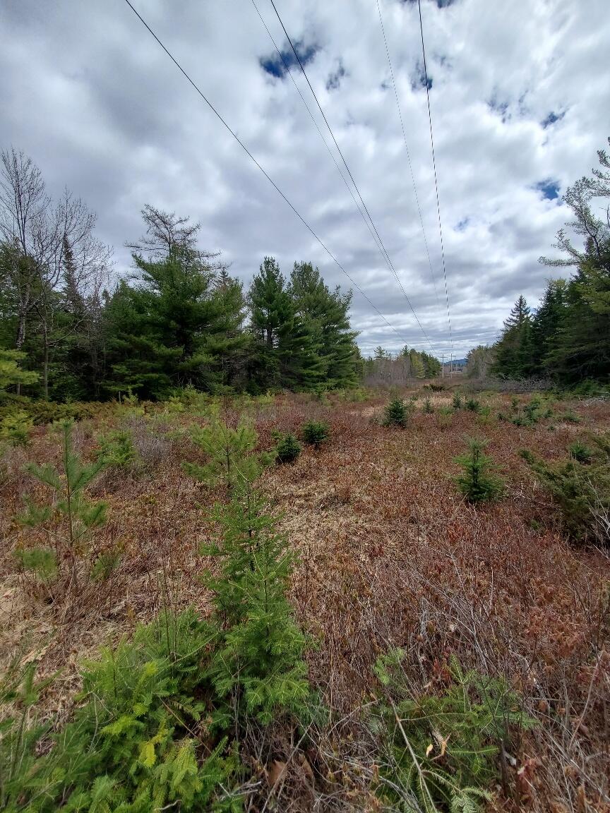 main property photo 81