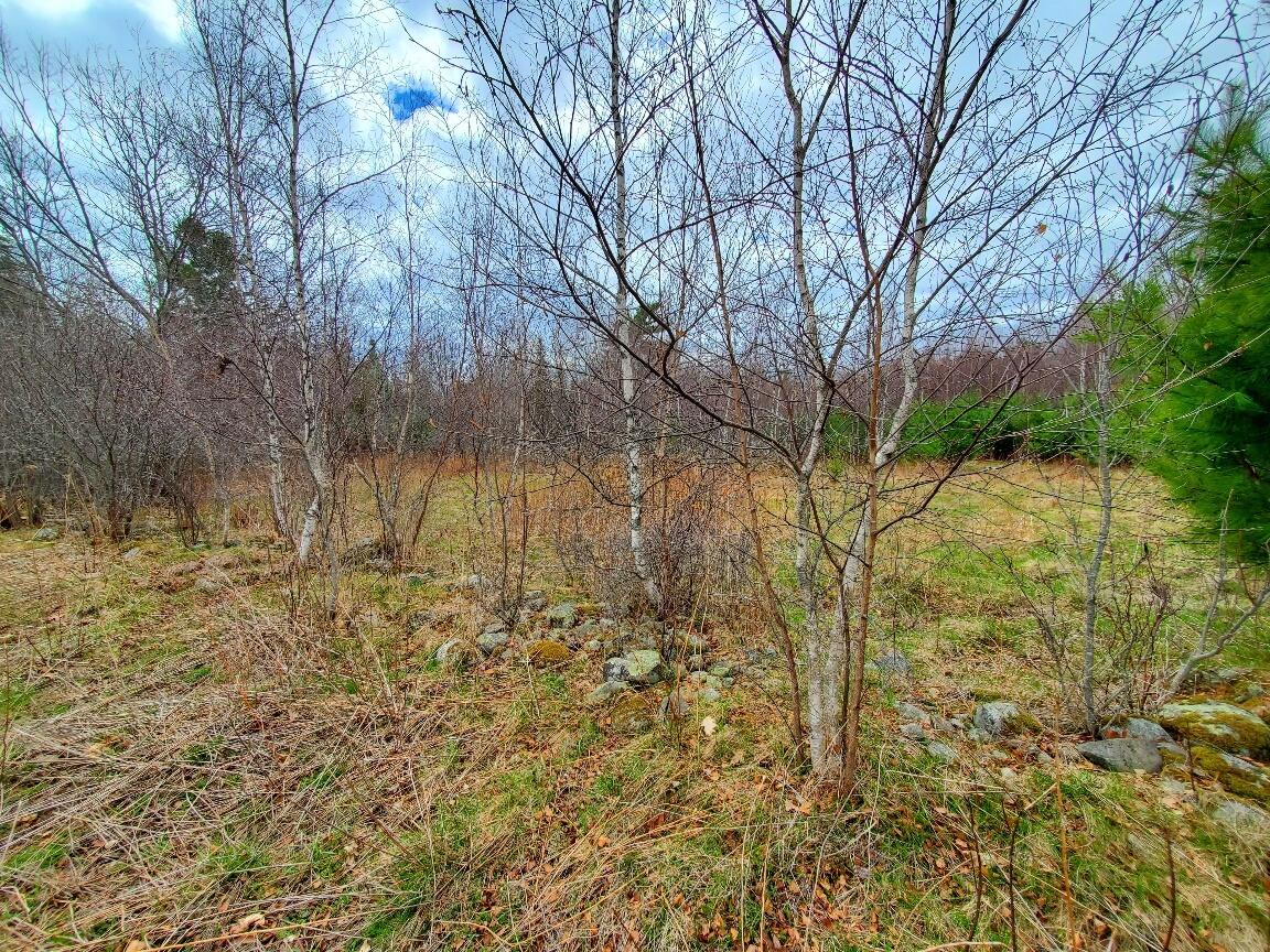main property photo 83