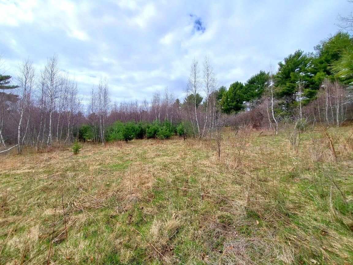 main property photo 84
