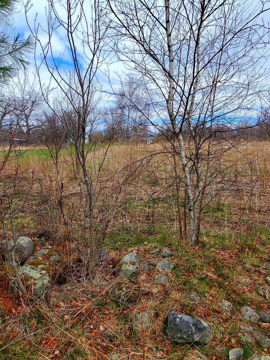 main property photo 86