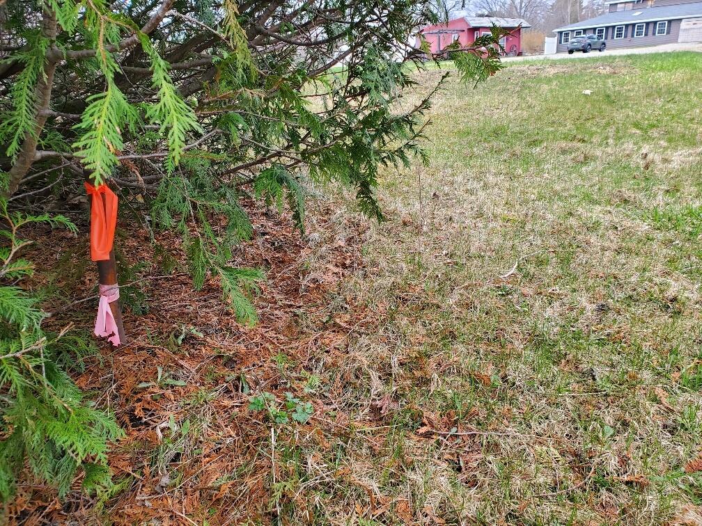 main property photo 87