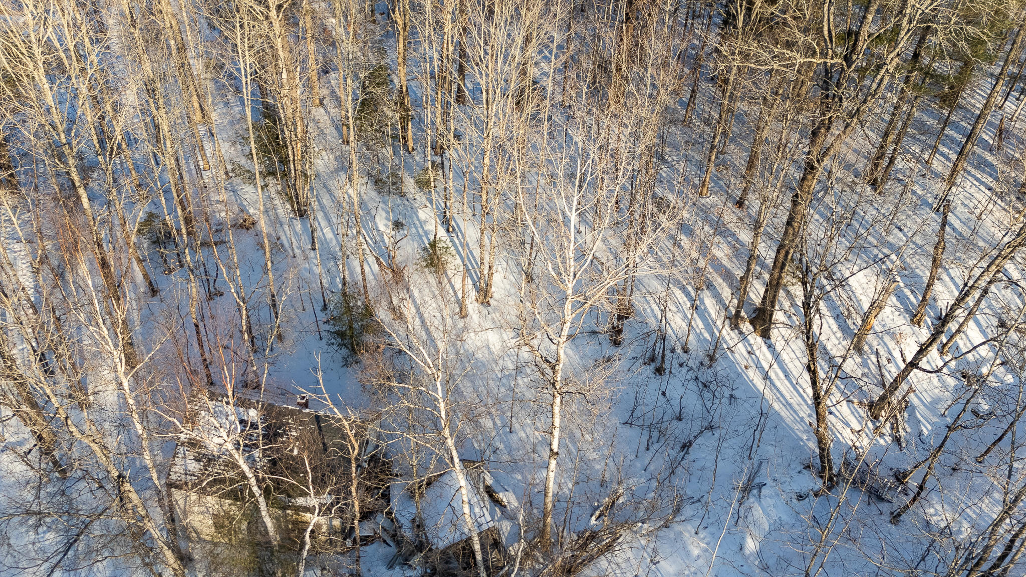 property viewer photo 11